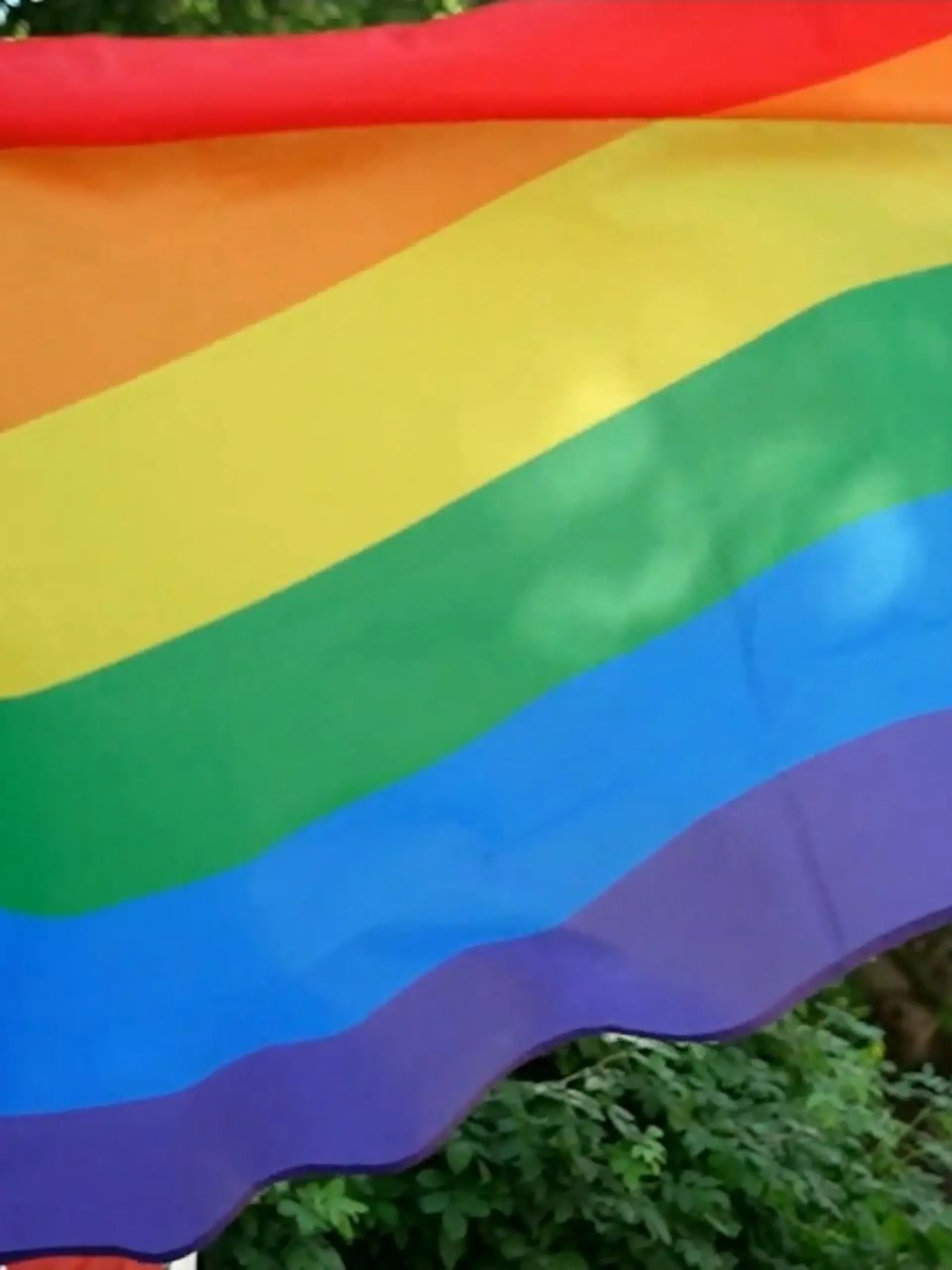 Bild zu: "Christopher Street Day in der AfD-Hochburg"