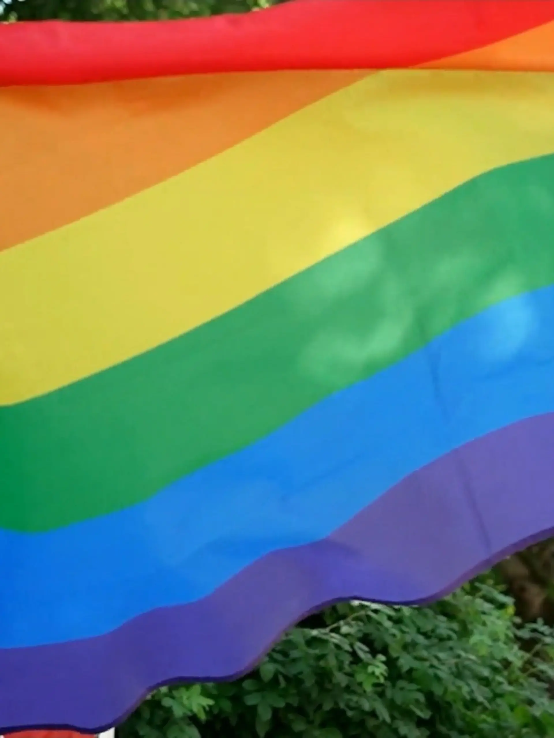 Bild zu: "Christopher Street Day in der AfD-Hochburg"