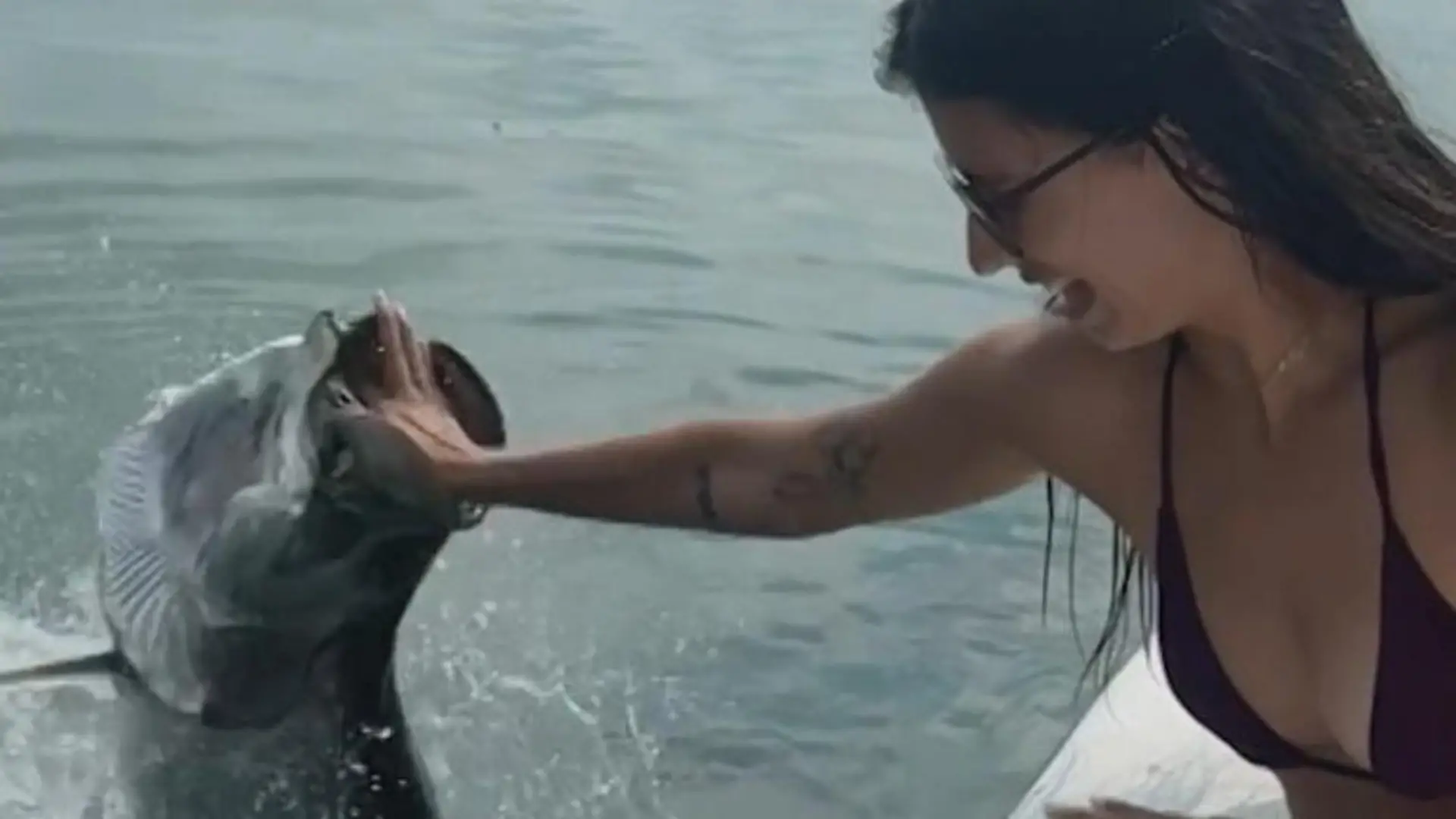 Touristin will Fisch füttern – dann reißt XXL-Tarpon sein Maul auf! Schreckmoment bei Bootstour