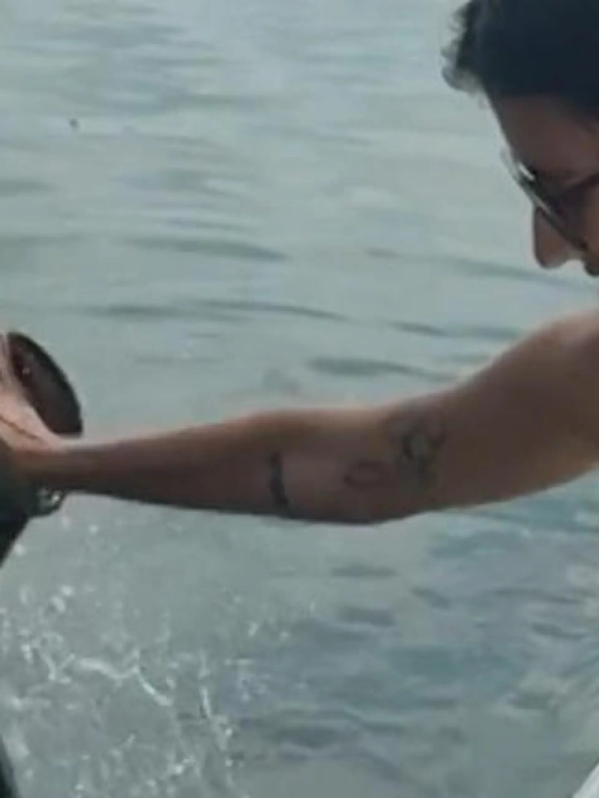 Bild zu: "Touristin will Fisch füttern – dann reißt XXL-Tarpon sein Maul auf!"