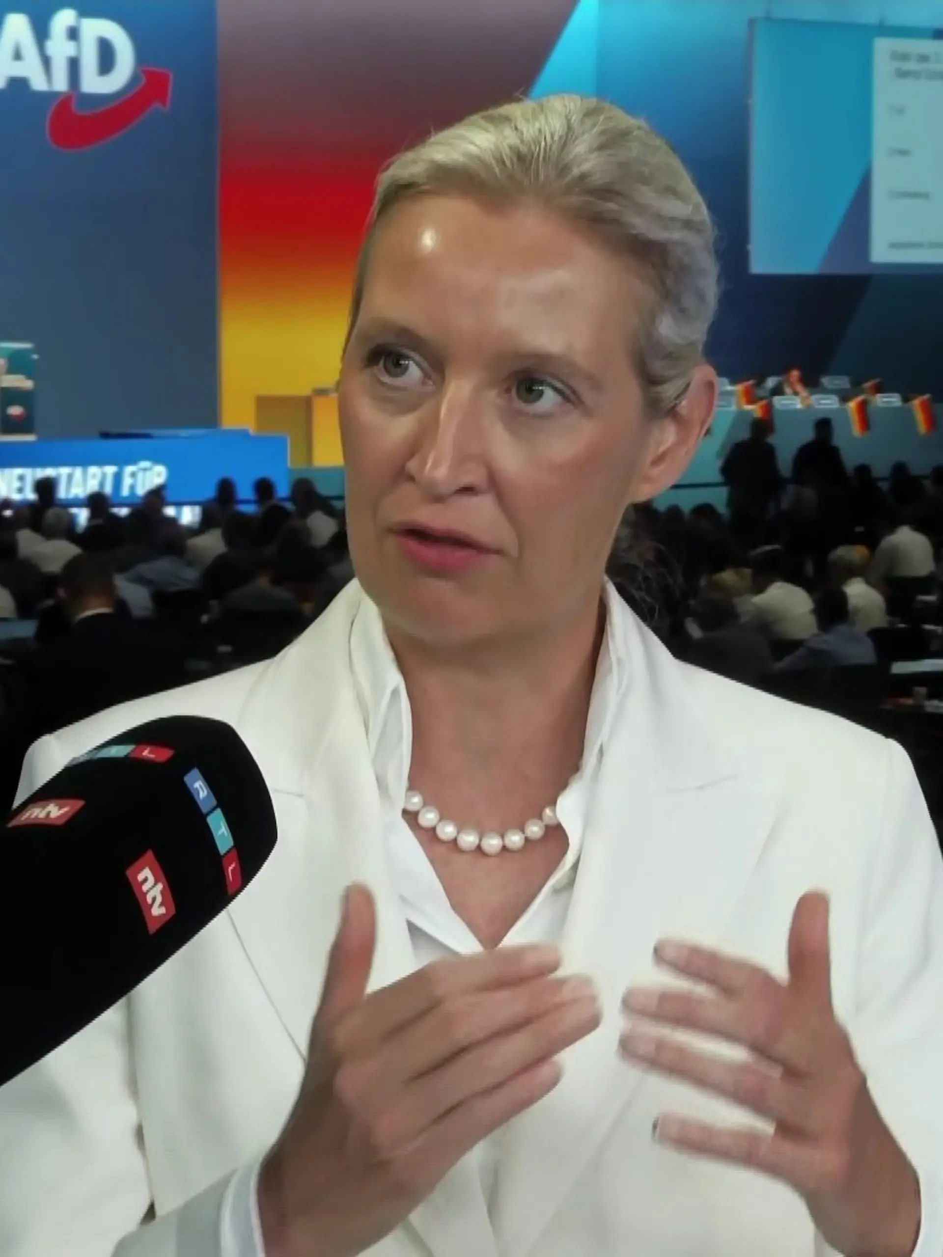 Alice Weidel (AfD) im RTL-Interview