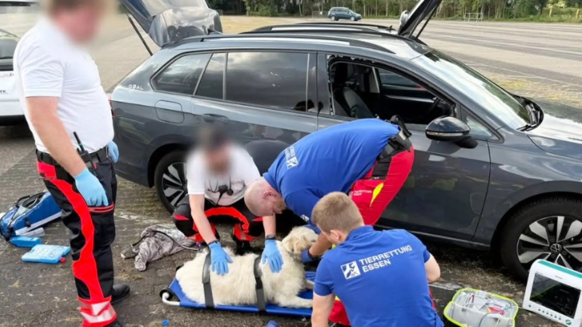 Zum Glück kam die Rettung rechtzeitig