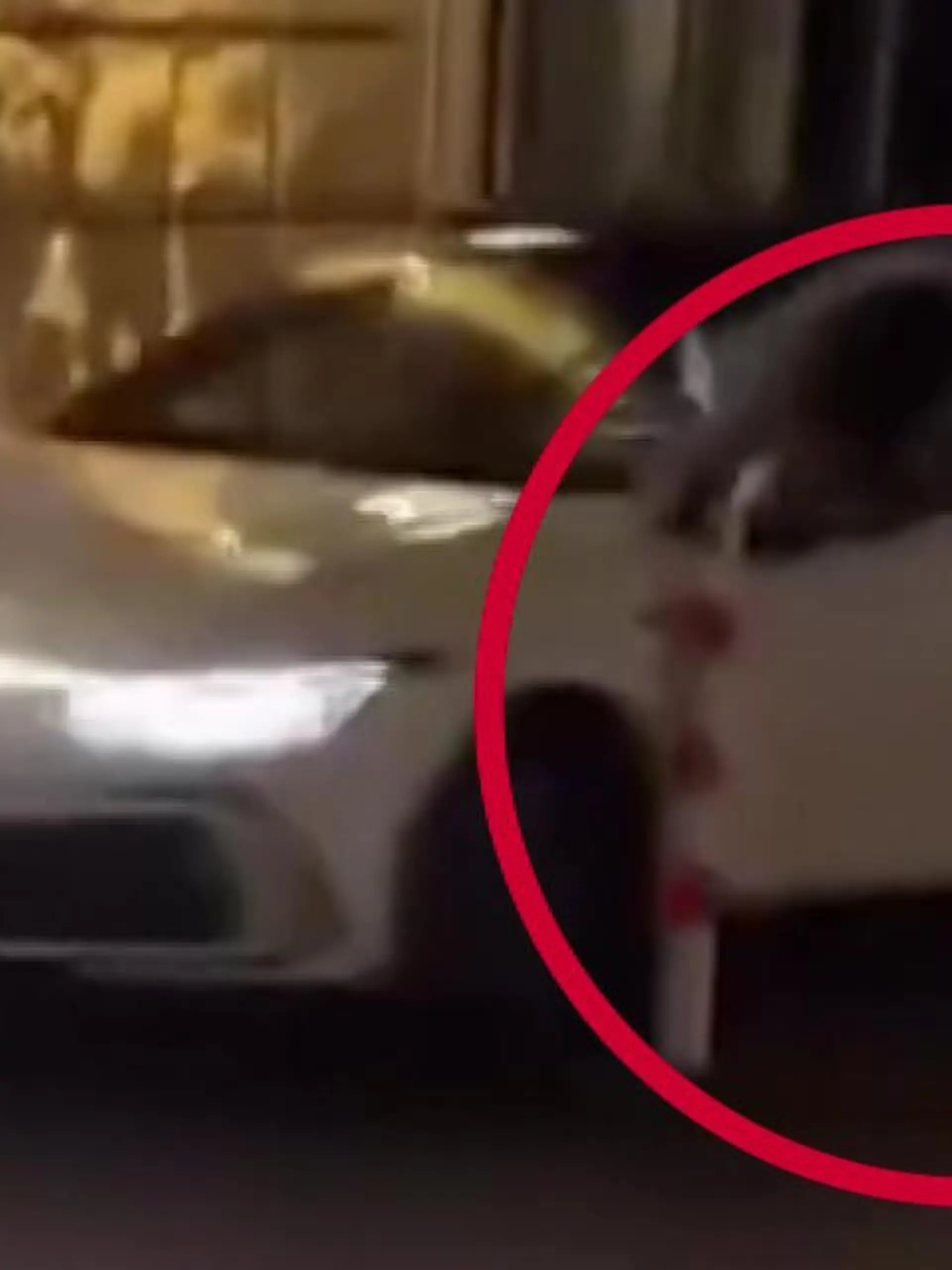 Bild zu: "Horror nach Autodiebstahl! 23-Jähriger wird mitgeschleift und schwer verletzt"
