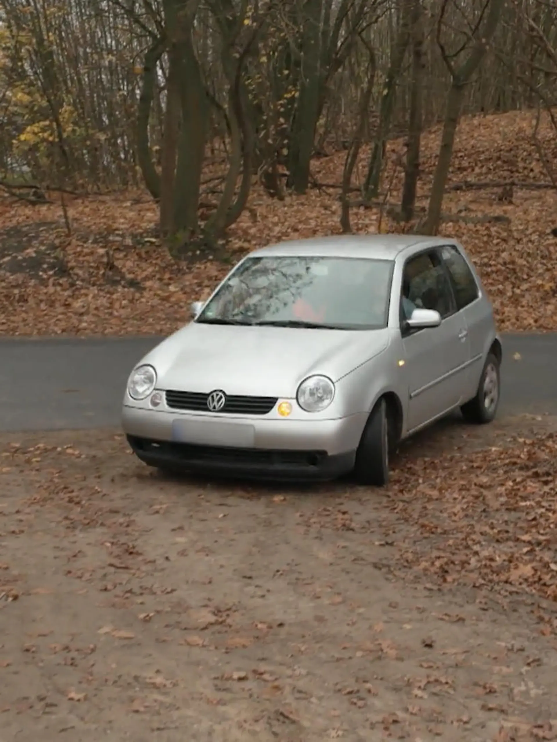Bild zu: "Was holen die Tuningprofis aus dem Lupo noch raus?"