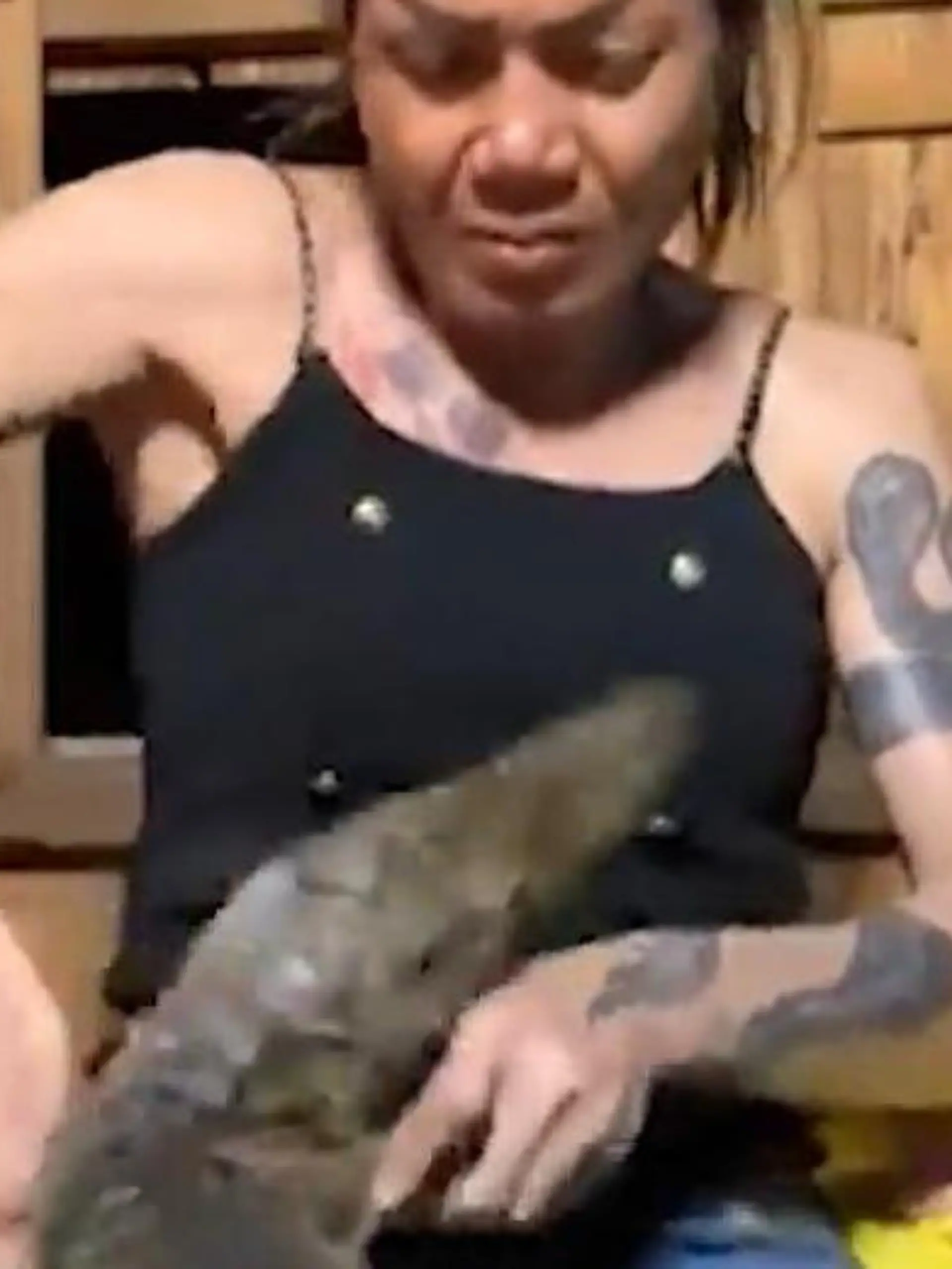 Bild zu: "Biss im Live-Stream! Krokodil rächt sich an Beauty-Influencerin"