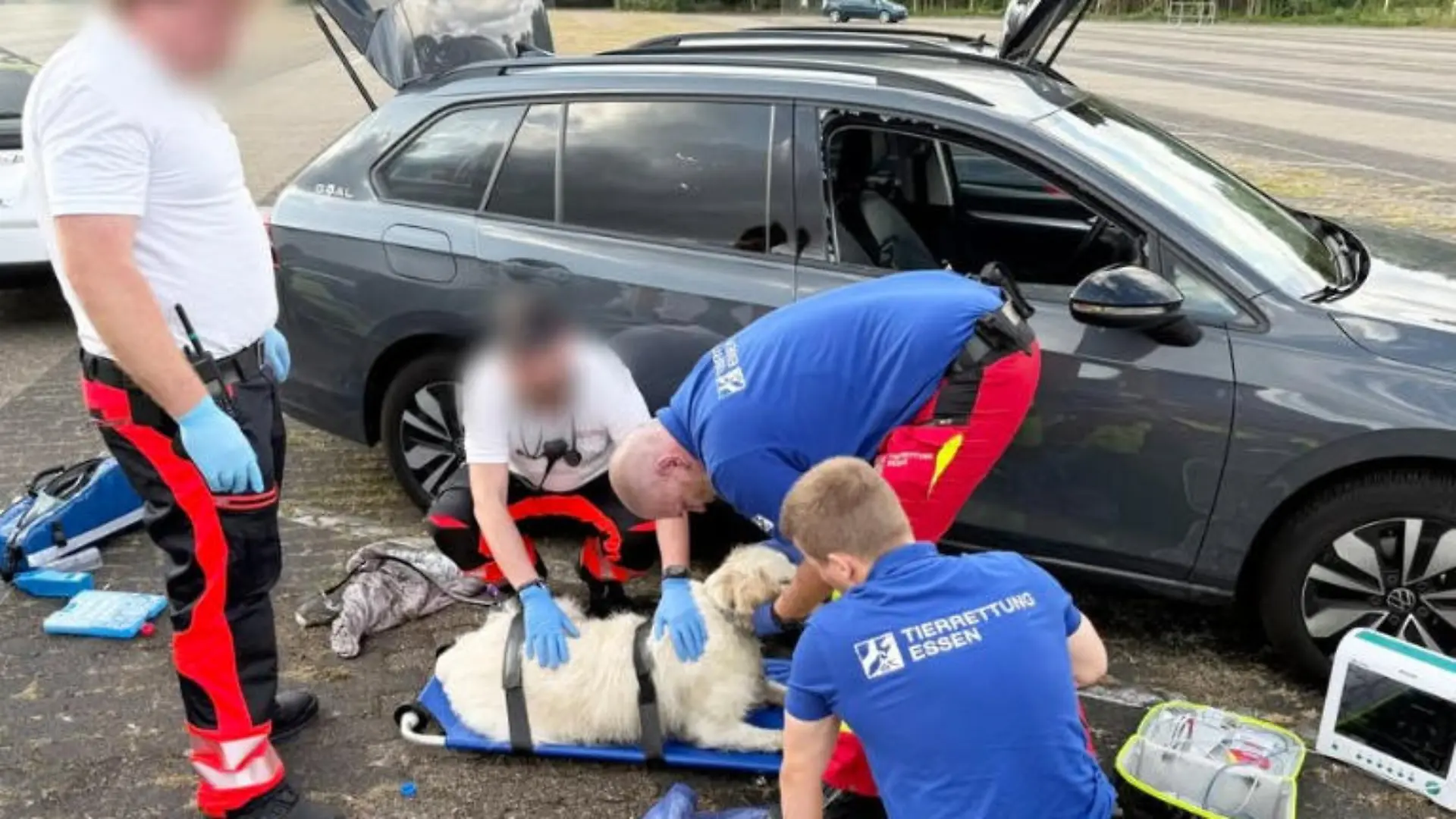 Hund vor Freizeitpark in Hitzeauto gefangen Rettung in letzter Minute