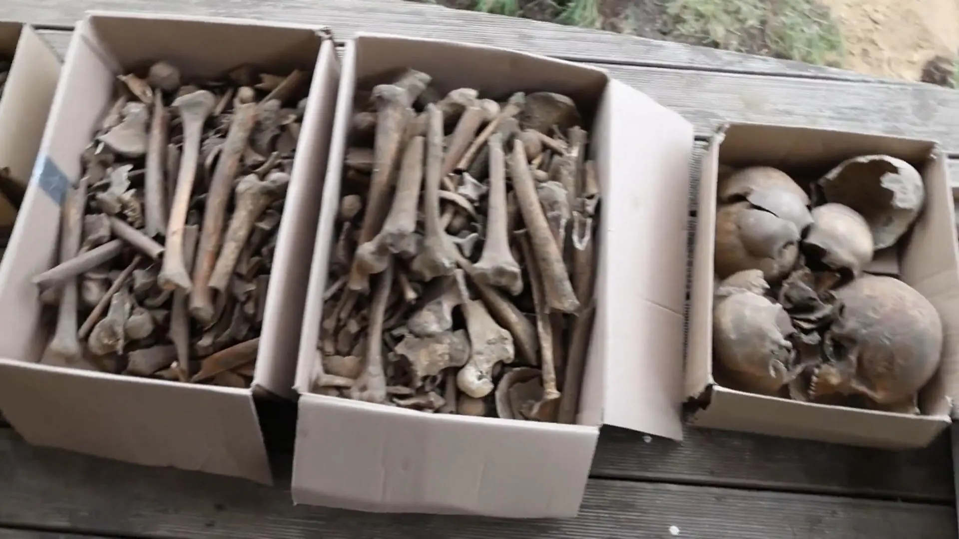 Felix (35) findet menschliche Überreste im Garten! Zähne, Schädel und Knochen