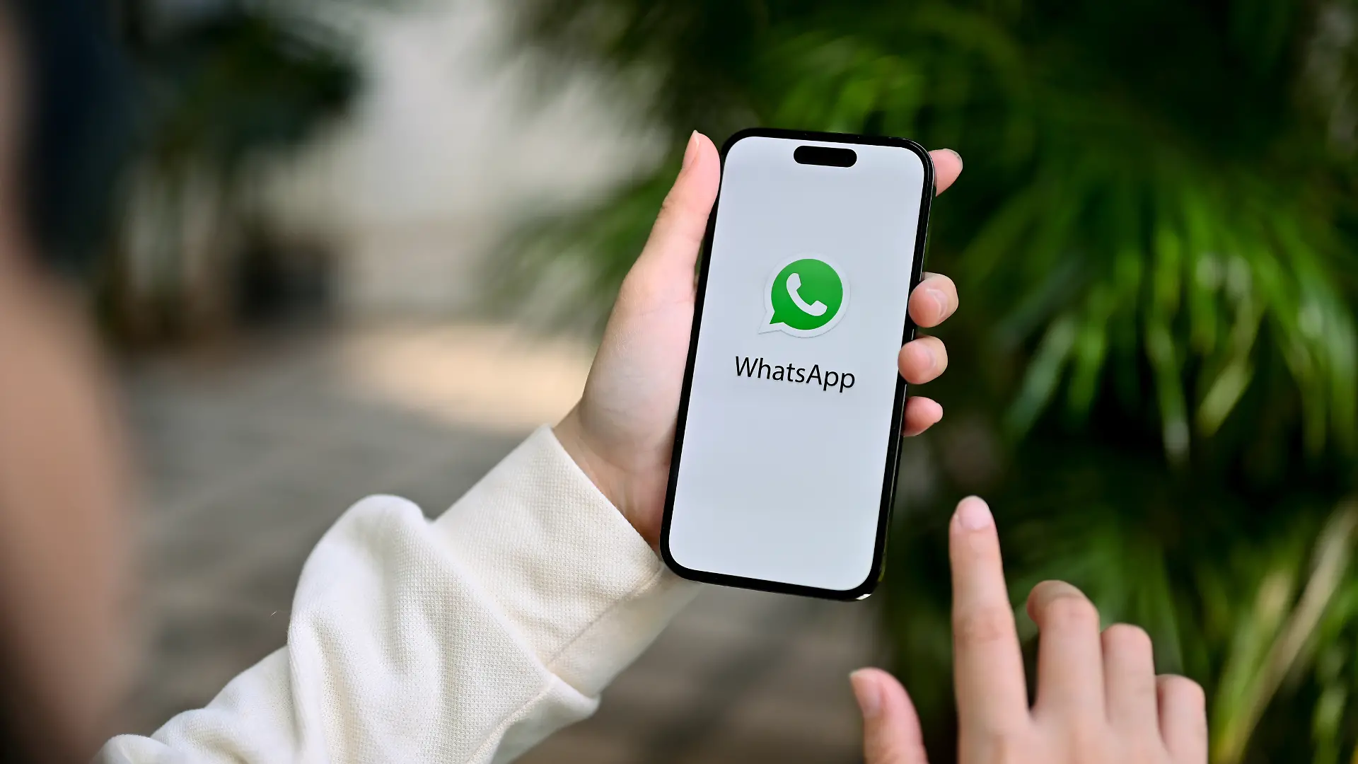 WhatsApp auf Smartphone