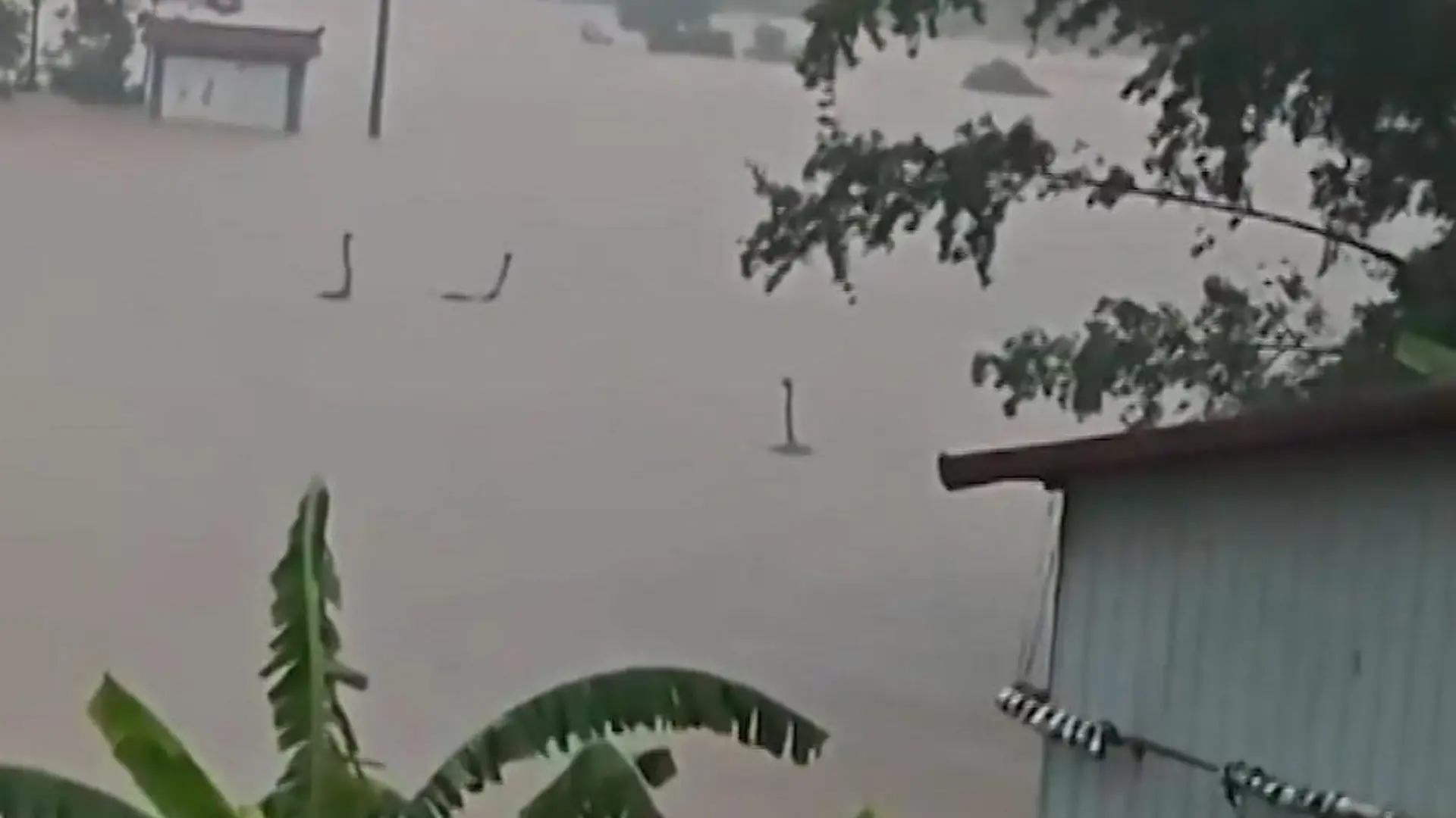 Giftige Gefahr nach Taifun! Flut schwemmt hunderte Schlangen ins Dorf Es zischt im Wasser!