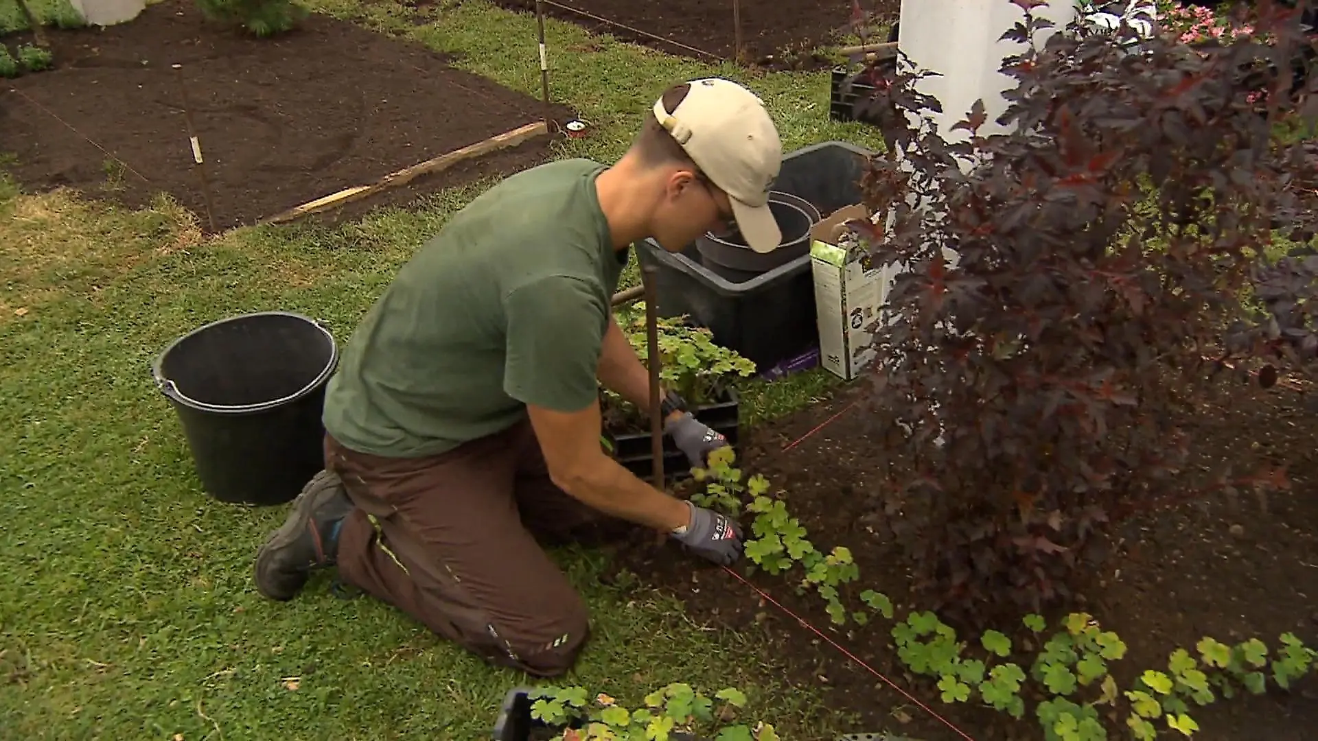 Prüfung für den Nachwuchs im Friedhofsgartenbau Landesgartenschau in Neuss
