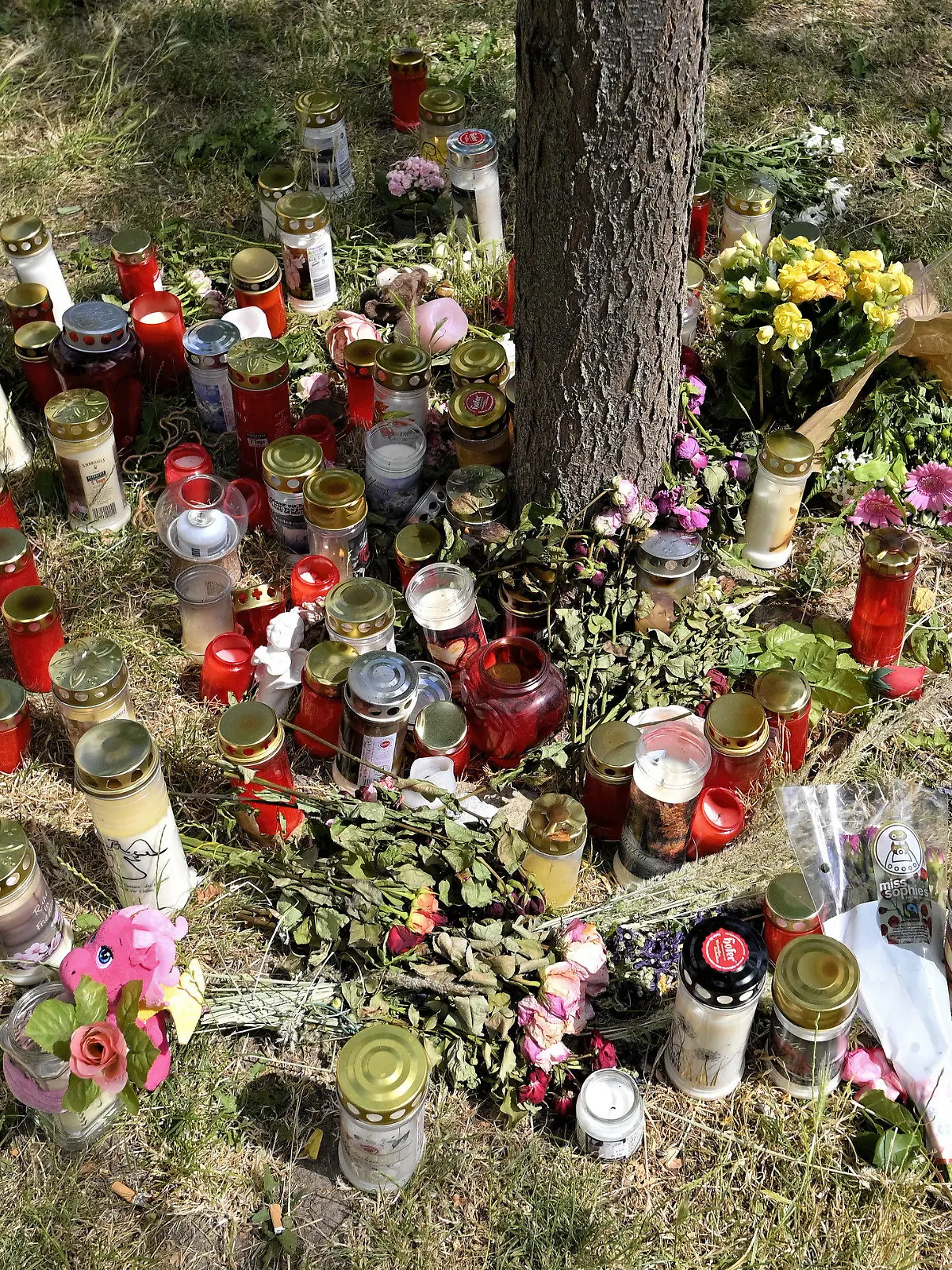30.06.2021, Österreich, Wien: Kerzen und Blumen liegen am Fundort der Leiche eines erst 13 Jahre alten Mädchens. Nach dem Fund der Leiche eines 13-jährigen Mädchens in Wien hat die Polizei zwei Männer festgenommen. Die beiden Verdächtigen sind laut Behörden 16 und 18 Jahre alt. Foto: Herbert Neubauer/APA/dpa +++ dpa-Bildfunk +++