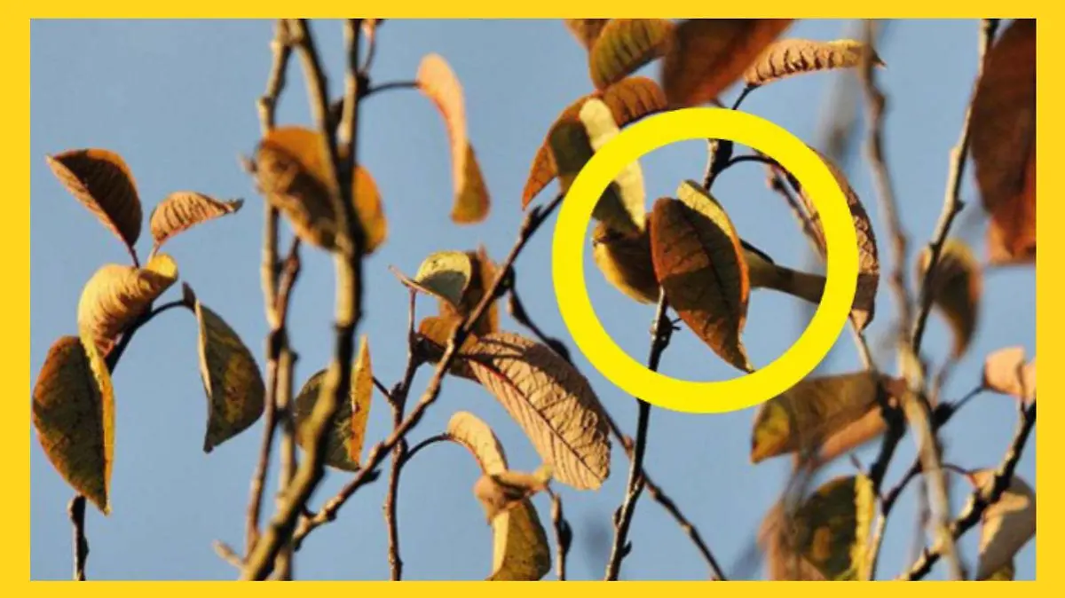 Vogel sitzt im Baum