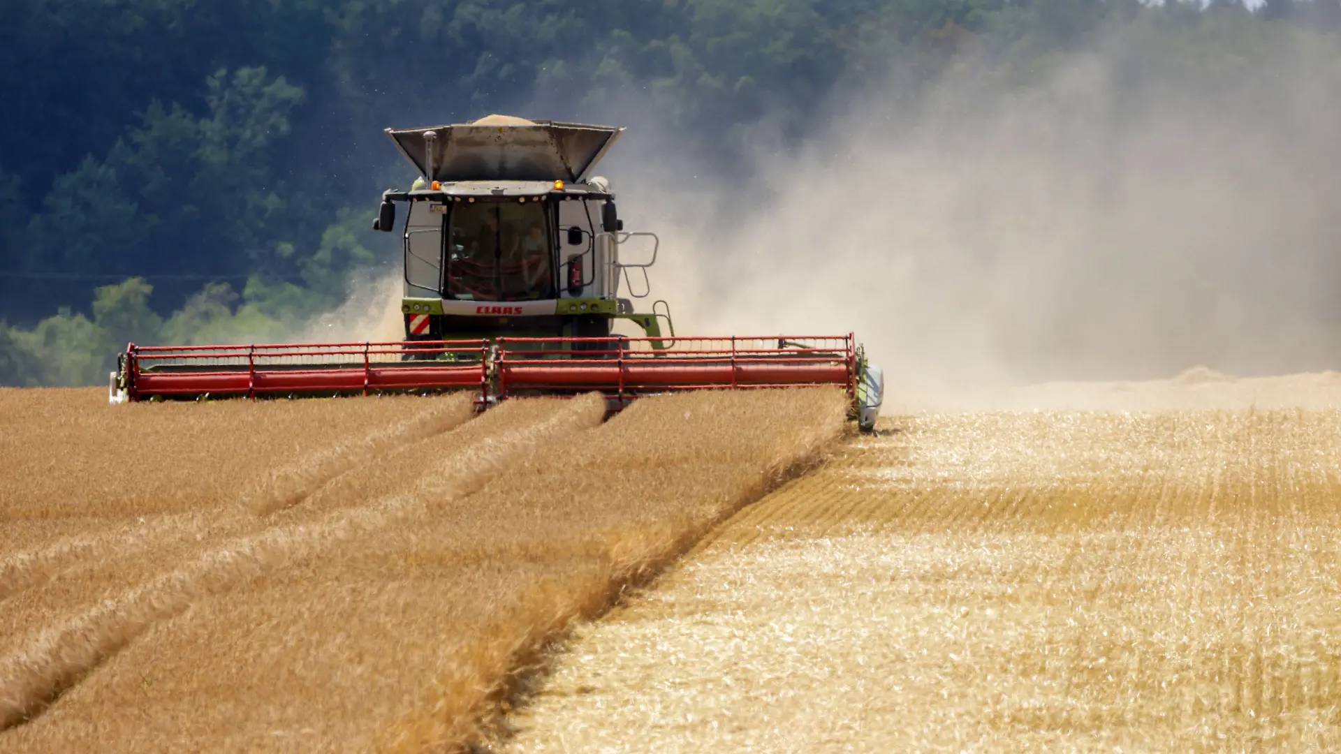 Mähdrescher auf einem Feld