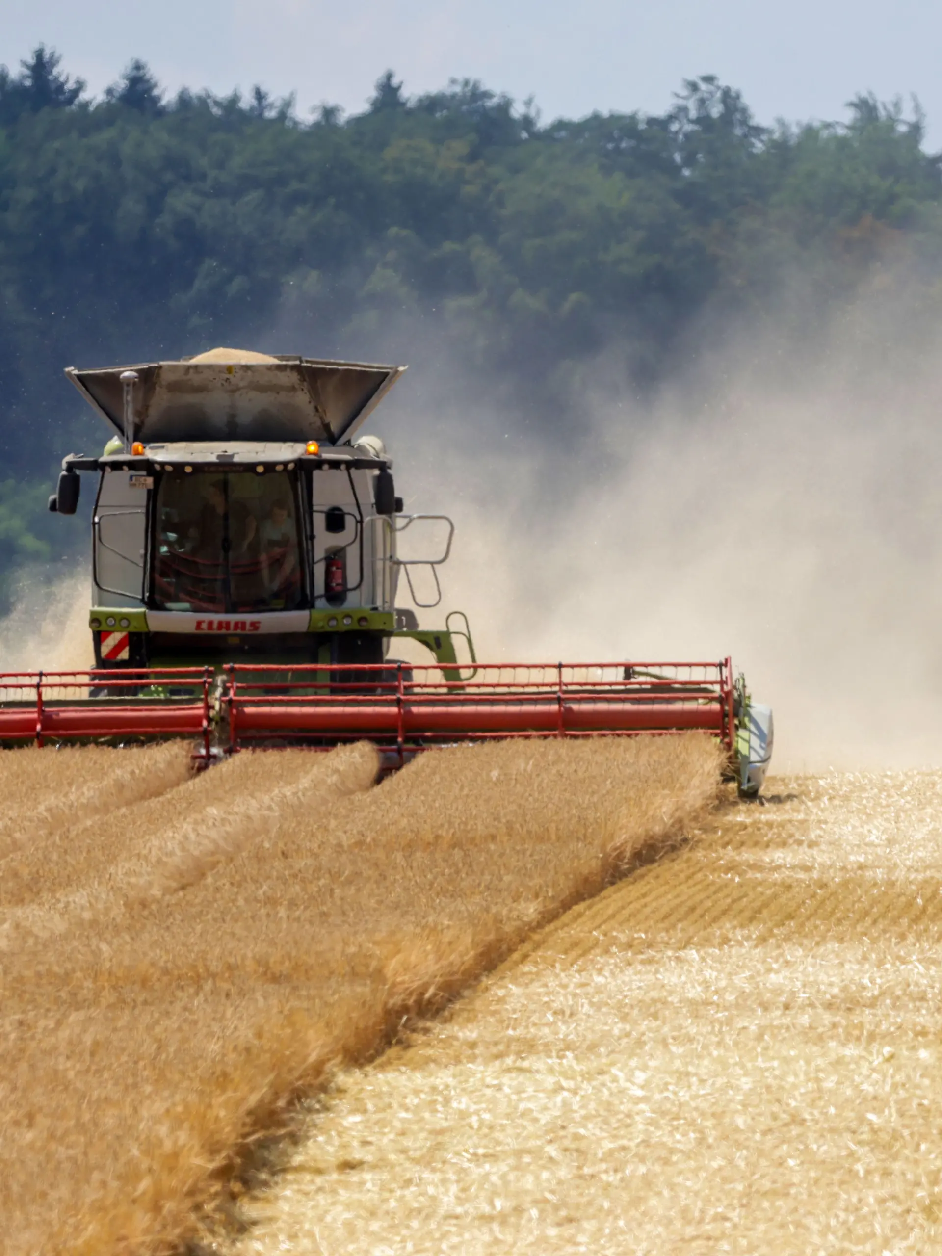Mähdrescher auf einem Feld