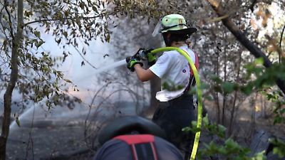 Bild von Deutschland trocknet aus! Feuerwehr kämpft gegen Waldbrand