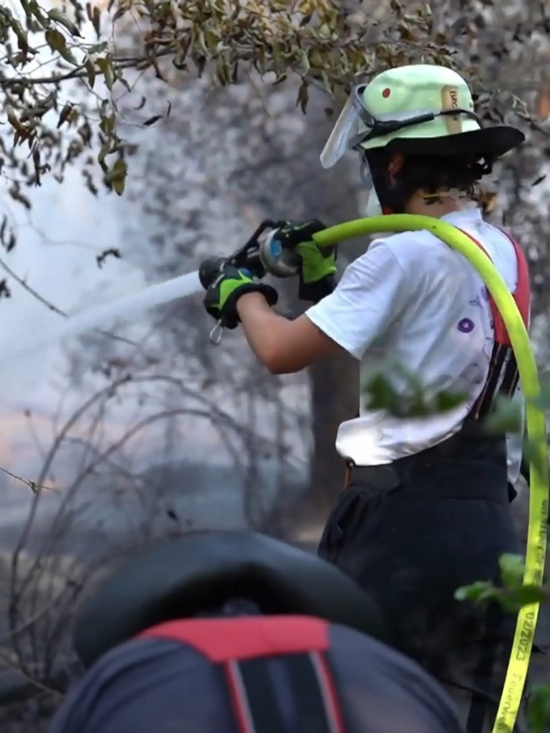 Bild zu: "Deutschland trocknet aus! Feuerwehr kämpft gegen Waldbrand"