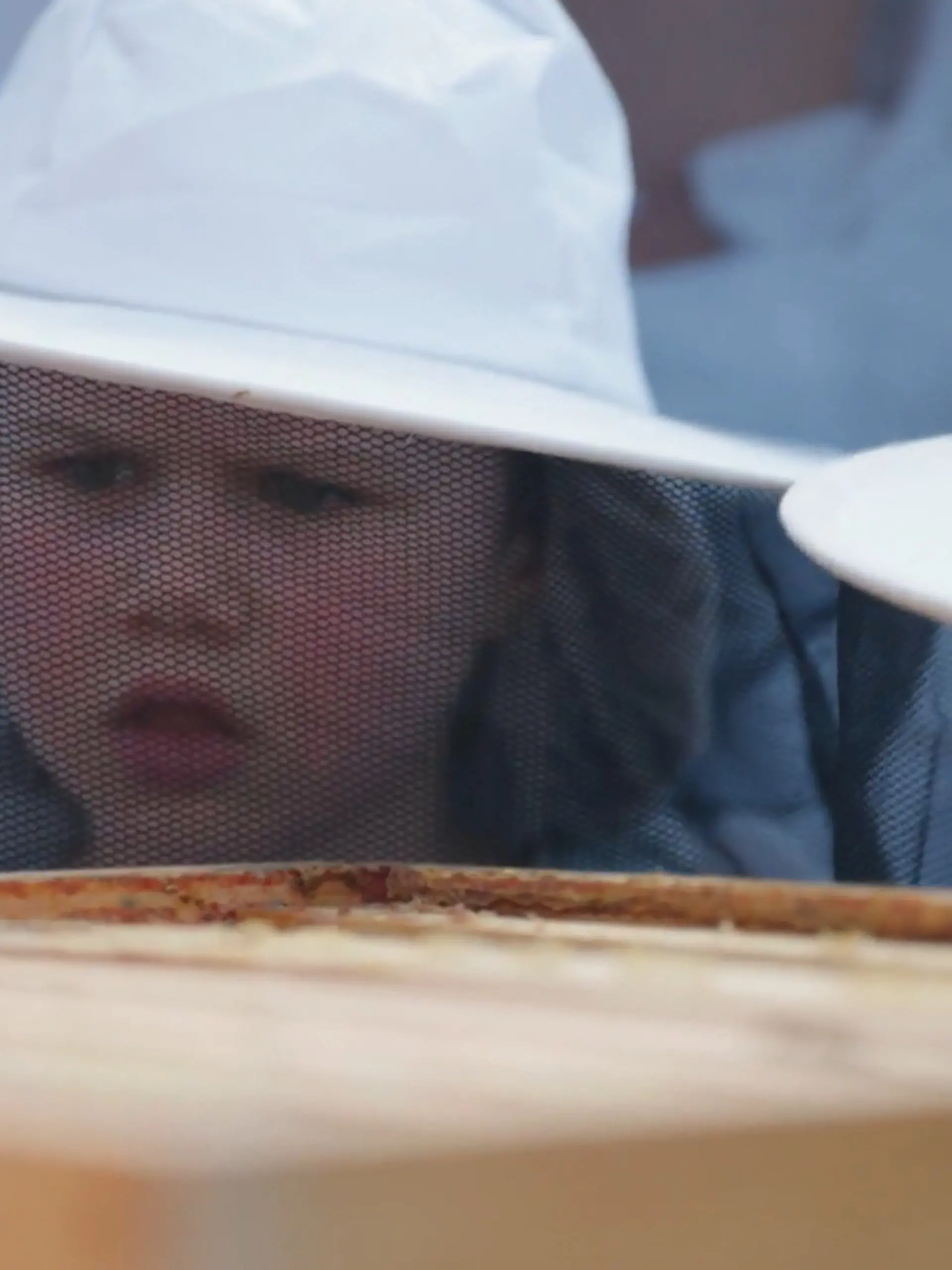 Bild zu: "Das Projekt "Bienensommer" im Ahrtal geht weiter"