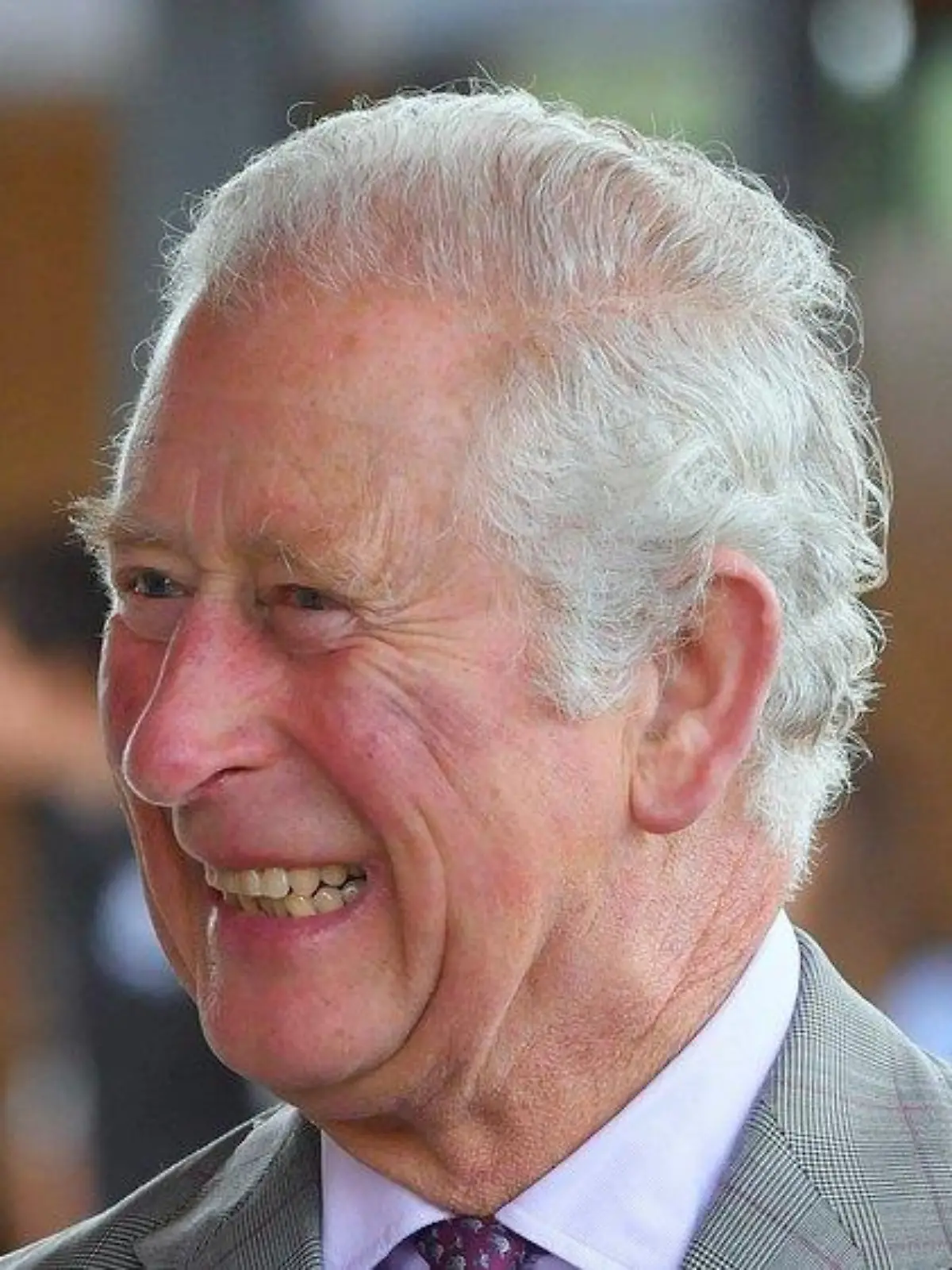 Prinz Charles lässt in seinem Garten Fußball-Hymnen erklingen