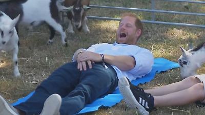Bild von Angriff auf seine Kronjuwelen! Hier bekommt Prinz Harry heftigen Tritt in den Schritt