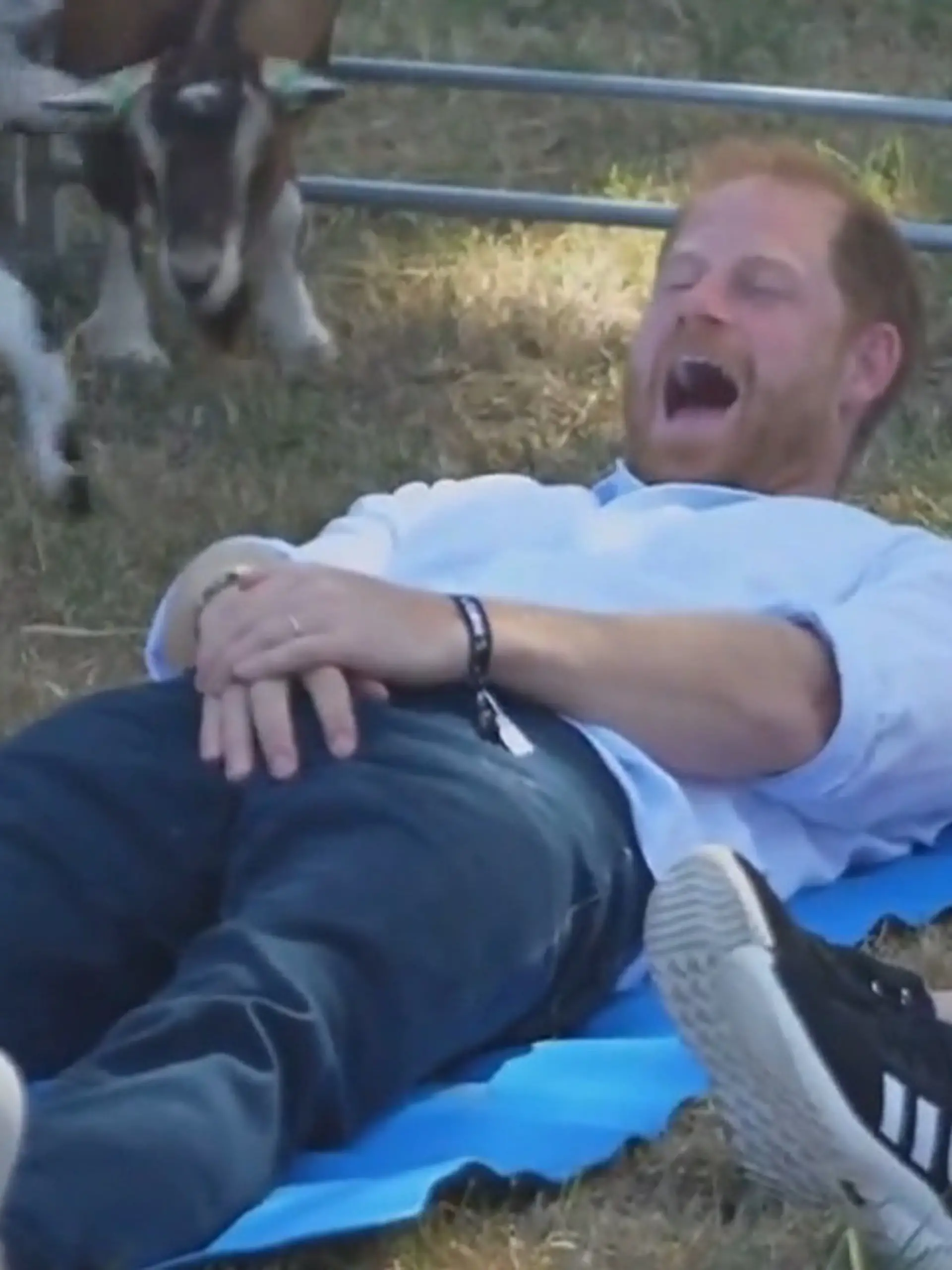 Bild zu: "Angriff auf seine Kronjuwelen! Hier bekommt Prinz Harry heftigen Tritt in den Schritt"