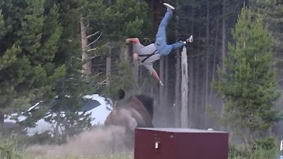 Bild von Bison schleudert Opa (65) zweieinhalb Meter in die Höhe – direkt vor seinem Enkel