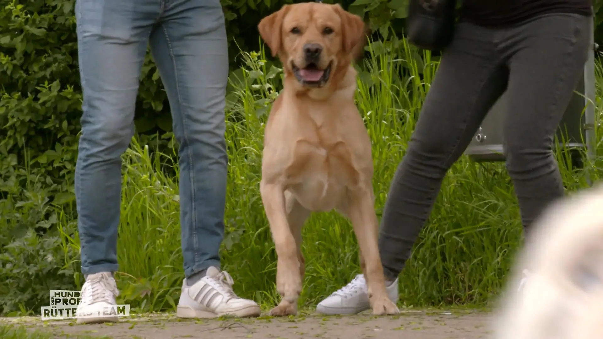 Kriegt Archie seine Impulse in den Griff? Tickende Zeitbombe?