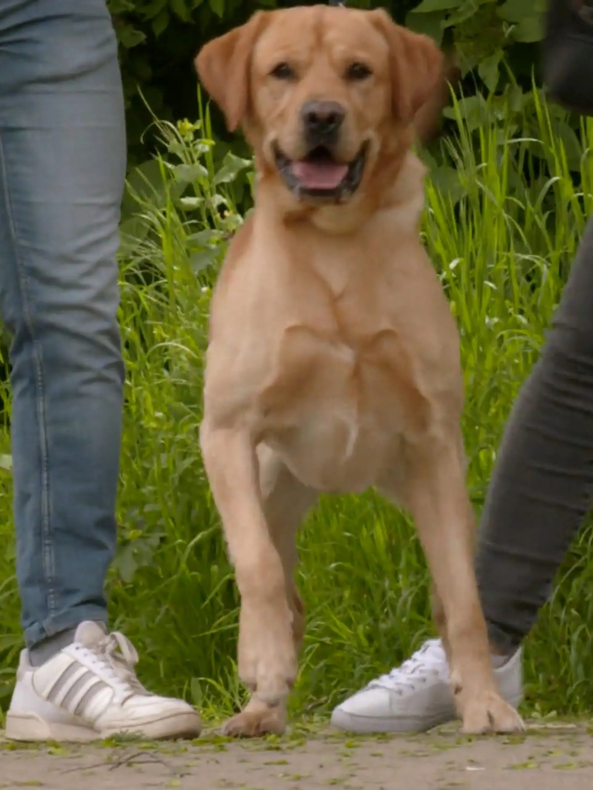 Bild zu: "Kriegt Archie seine Impulse in den Griff?"