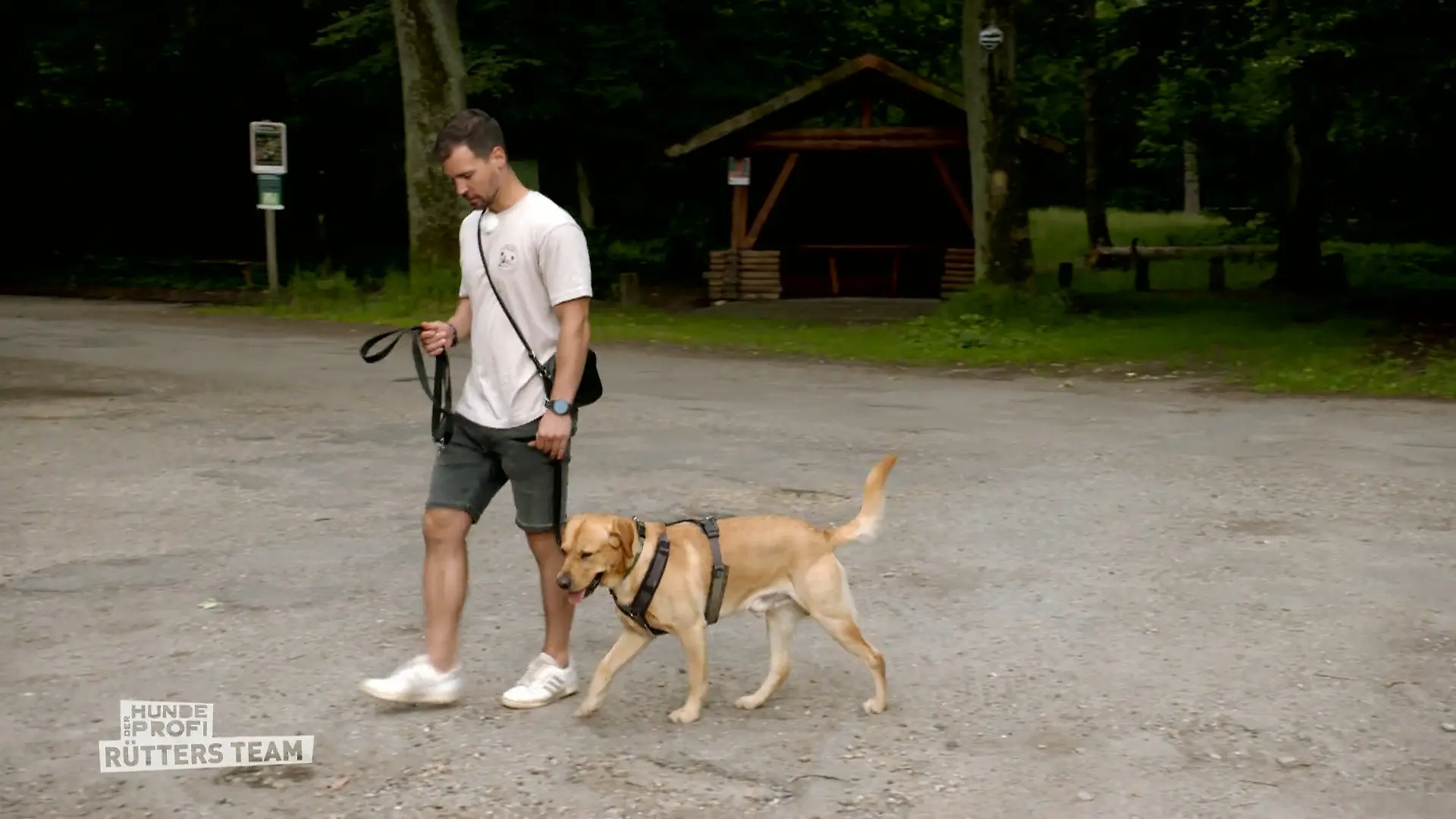Hat Archie Fortschritte gemacht? Sechs Wochen Training
