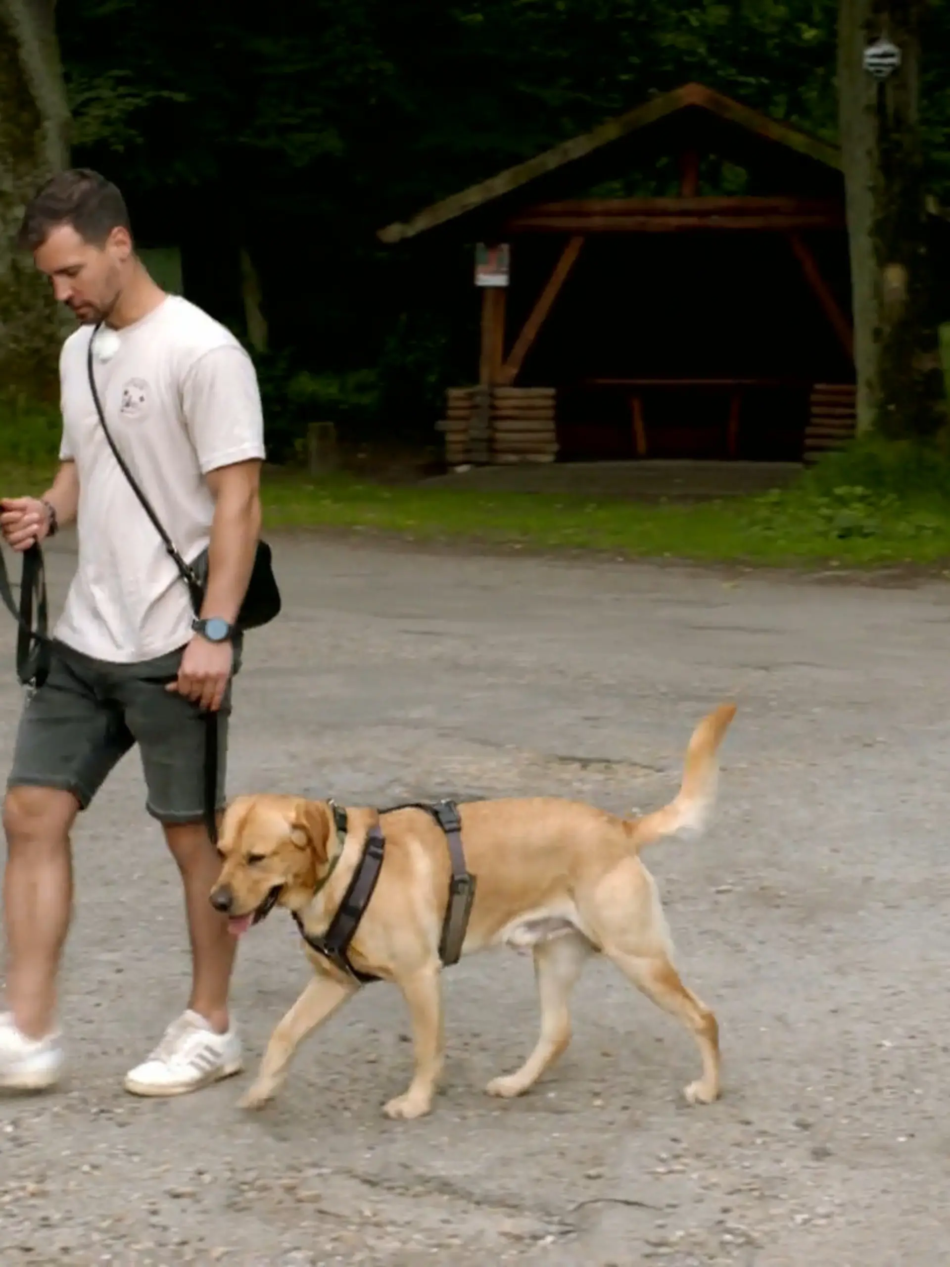 Bild zu: "Hat Archie Fortschritte gemacht?"
