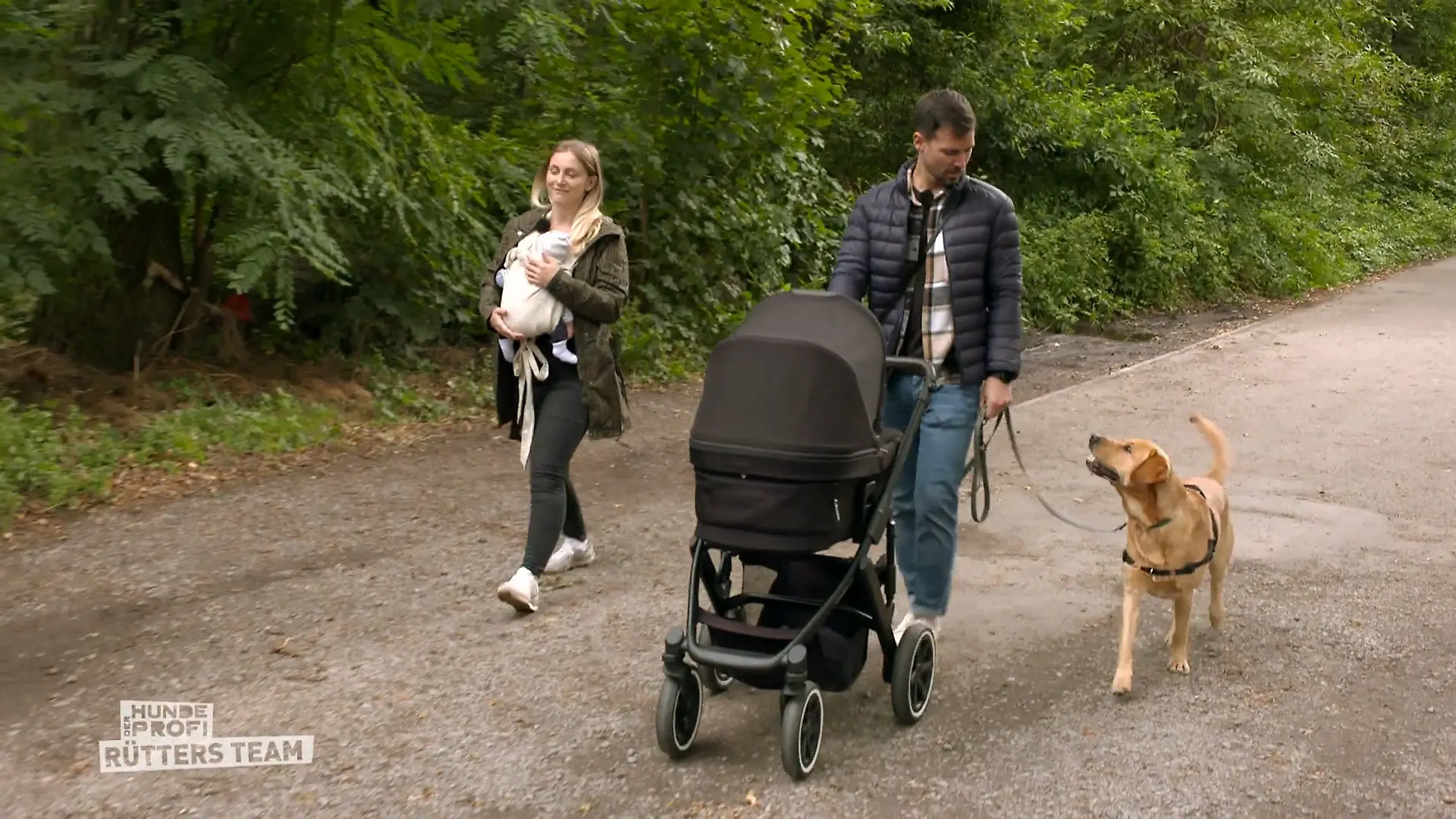 Klappt es mit Baby und Hund? Baby da, Archie mittendrin