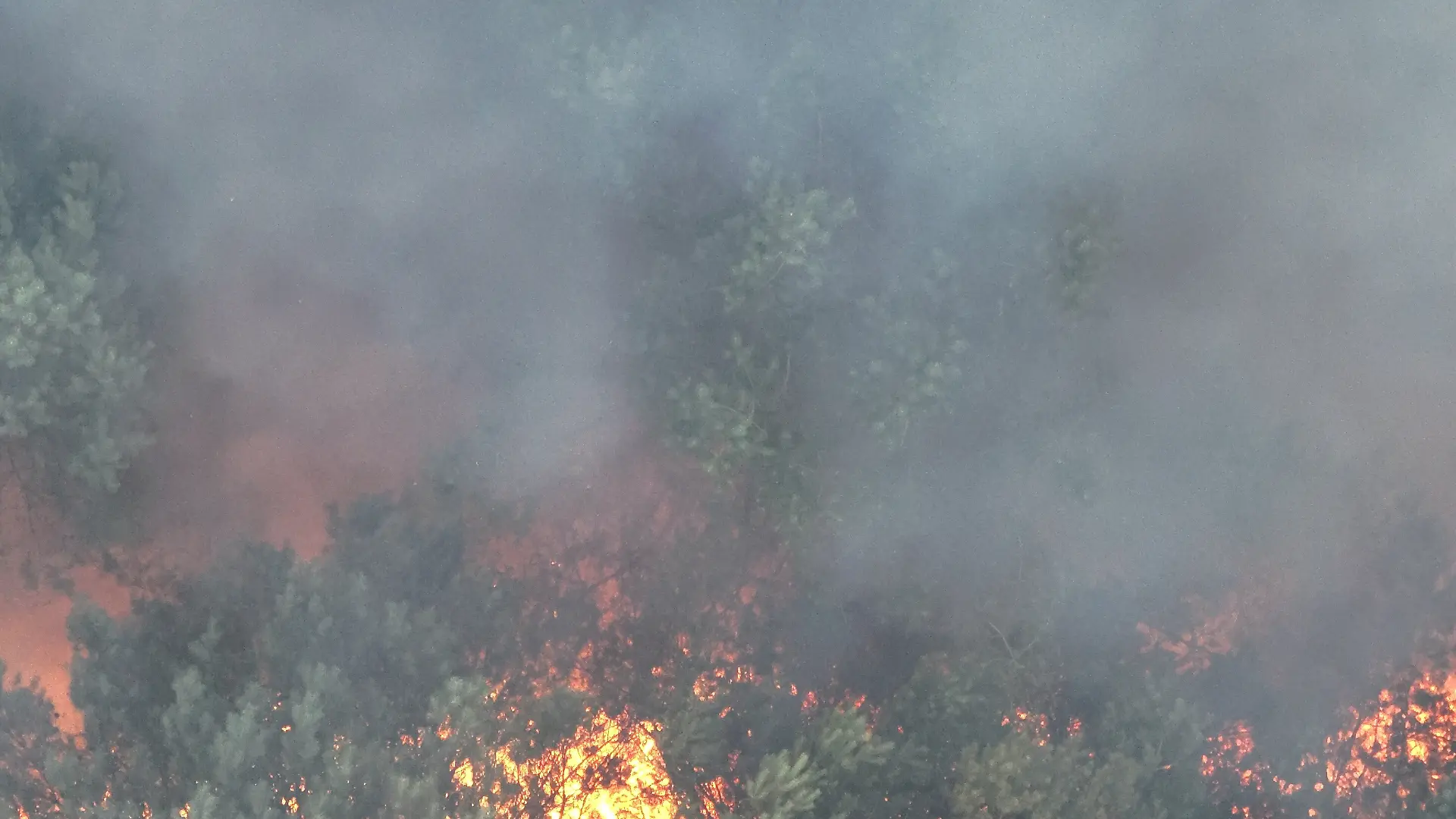 Rauch steigt bei einem Feuer im Müritz-Nationalpark auf. Die Brandfläche wuchs nach Angaben des Sprechers des Landkreises Mecklenburgische Seenplatte auf rund 6.300 Quadratmeter an - das entspricht ungefähr einem Fußballfeld. +++ dpa-Bildfunk +++