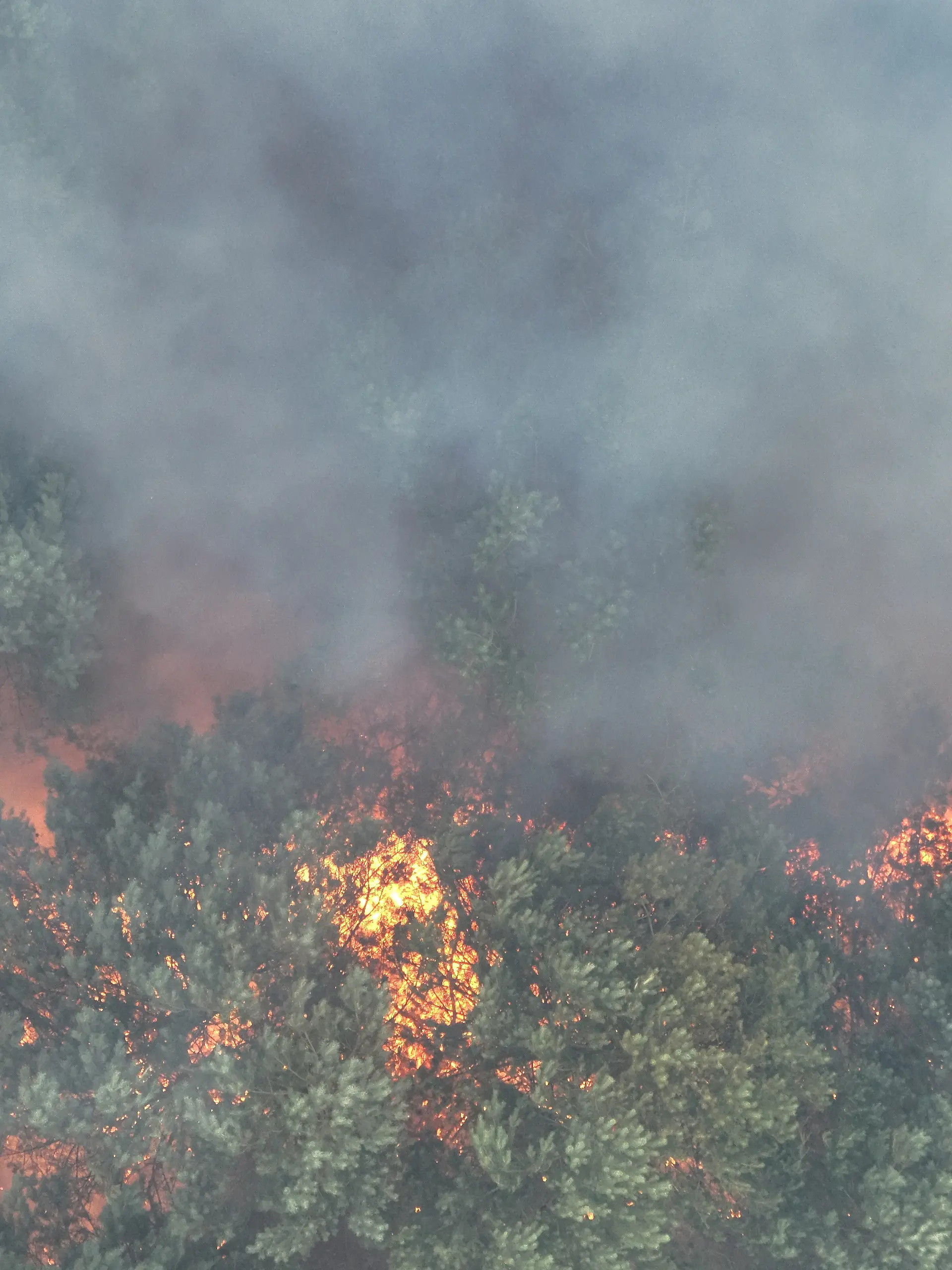 Rauch steigt bei einem Feuer im Müritz-Nationalpark auf. Die Brandfläche wuchs nach Angaben des Sprechers des Landkreises Mecklenburgische Seenplatte auf rund 6.300 Quadratmeter an - das entspricht ungefähr einem Fußballfeld. +++ dpa-Bildfunk +++