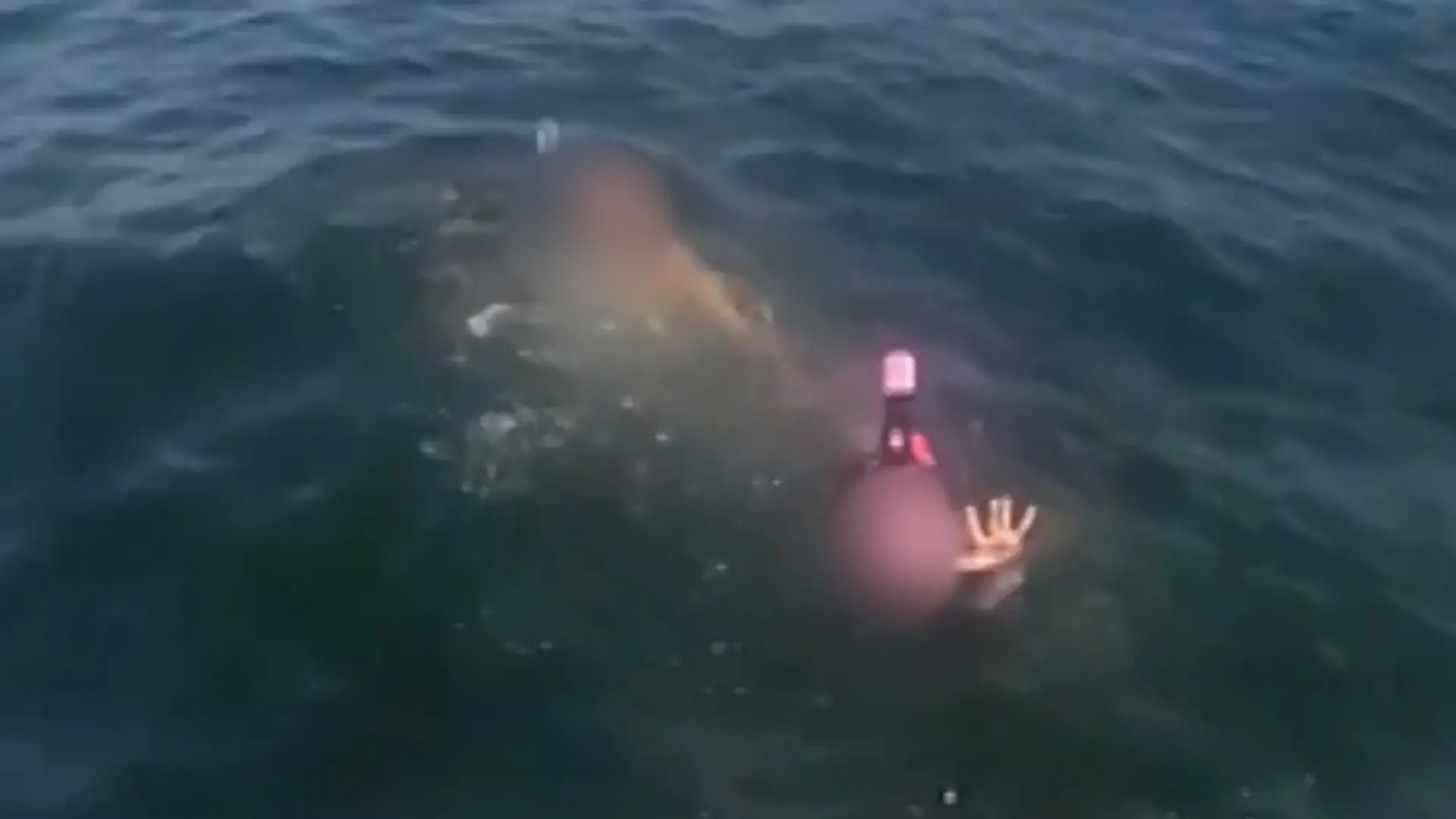 Völlig entkräftet und der Strömung ausgeliefert! Schnorchel-Pärchen ins Meer rausgetrieben Dramatische Rettung in Florida