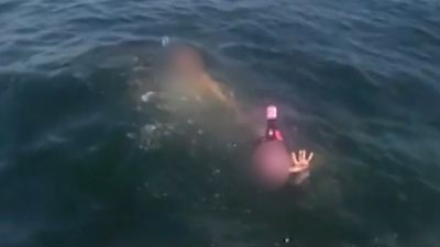 Bild von Völlig entkräftet und der Strömung ausgeliefert! Schnorchel-Pärchen ins Meer rausgetrieben