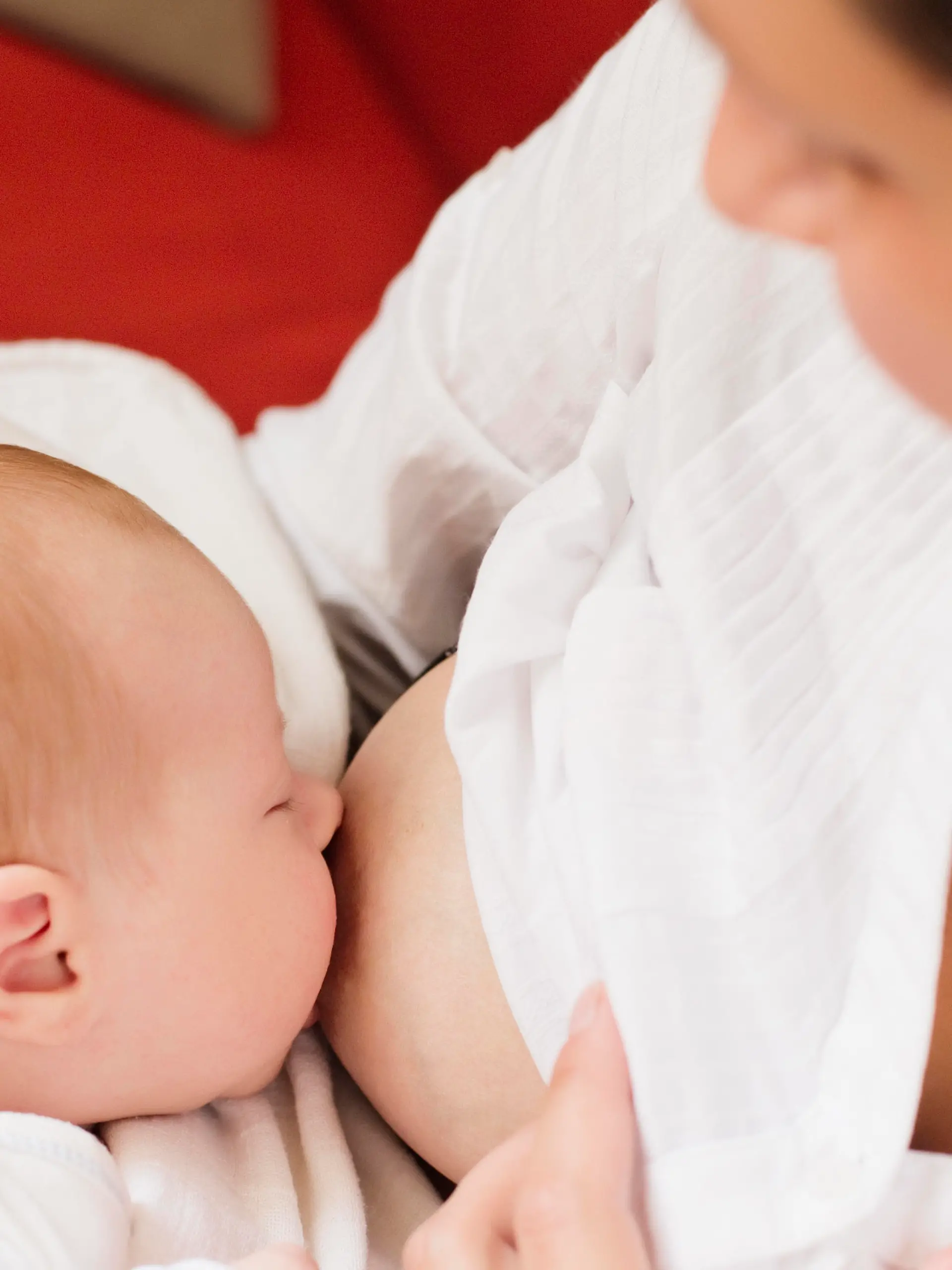 A mother is breastfeeding her little baby. (CTK Photo/Josef Horazny, Martin Sterba)
