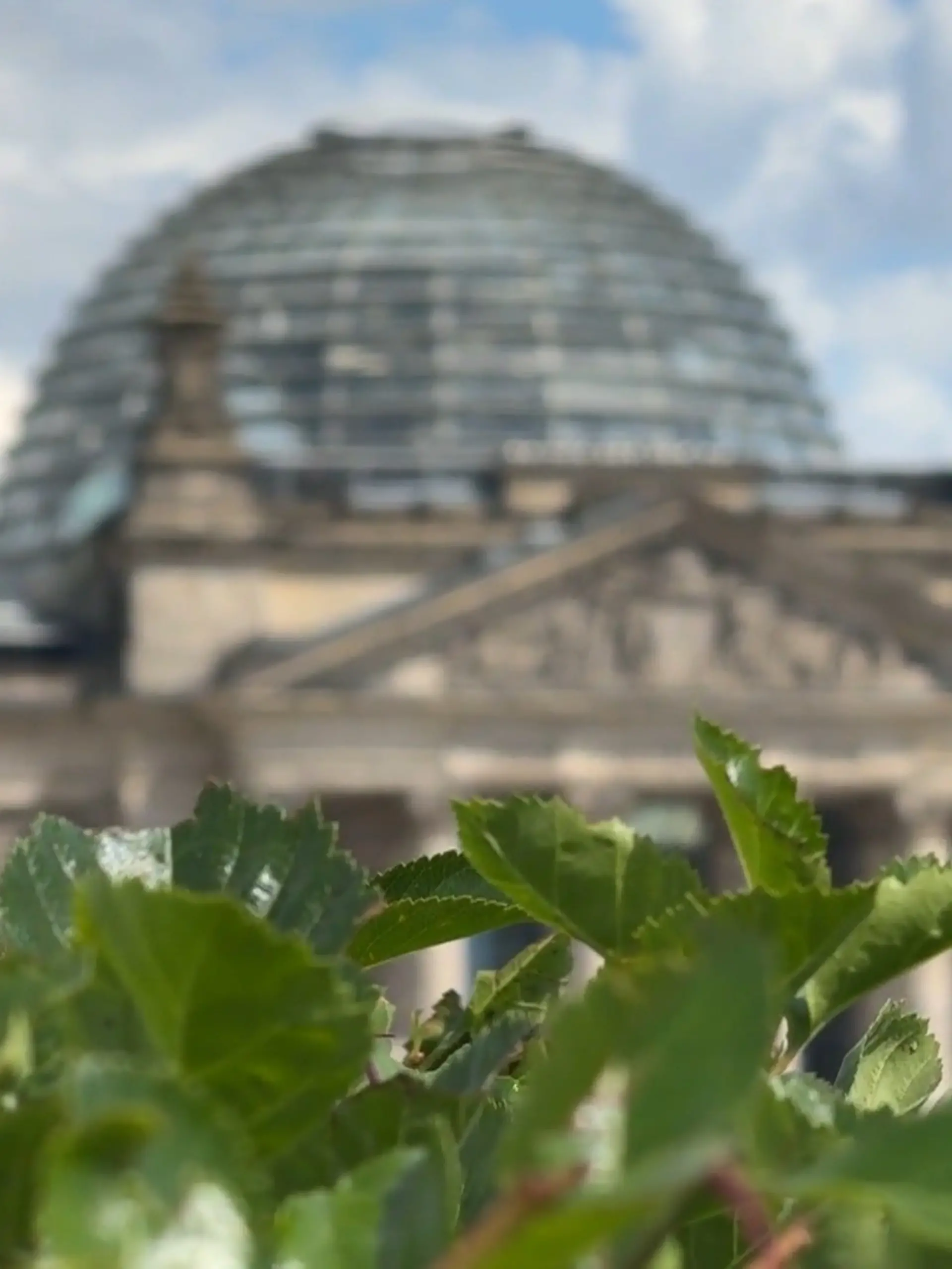 Bild zu: "Bundesregierung will Bürokratie abbauen"