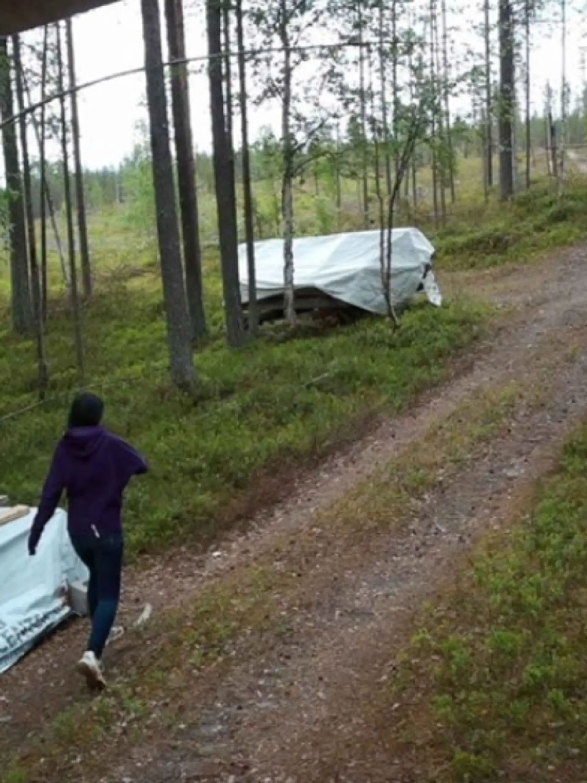 Bild zu: "Deutsche seit mehr als zwei Wochen in Finnland vermisst"