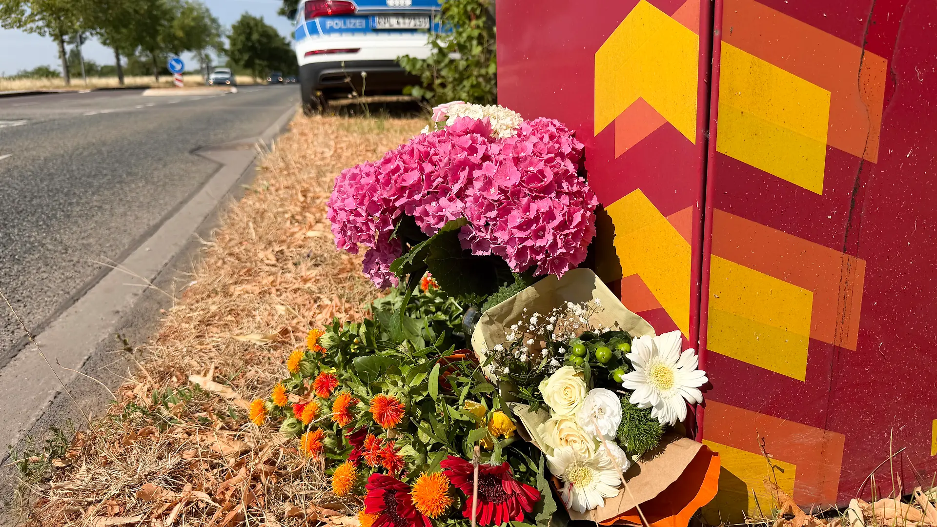 Blumen liegen an der Stelle, wo ein Student bei einem Angriff auf offener Straße in Trier getötet worden ist. Der 22-Jährige wurde von einem Gleichaltrigen angegriffen, wie die Polizei mitteilte.