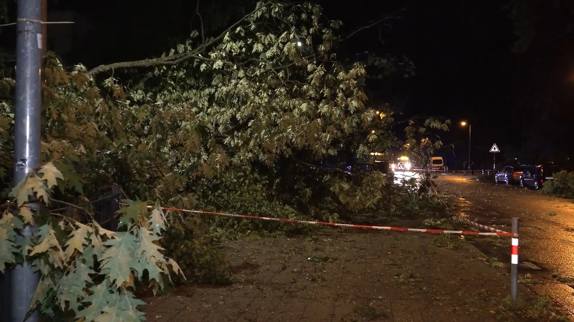 Umgestürzter Baum erschlägt Radfahrer Unwetter in Karlsruhe