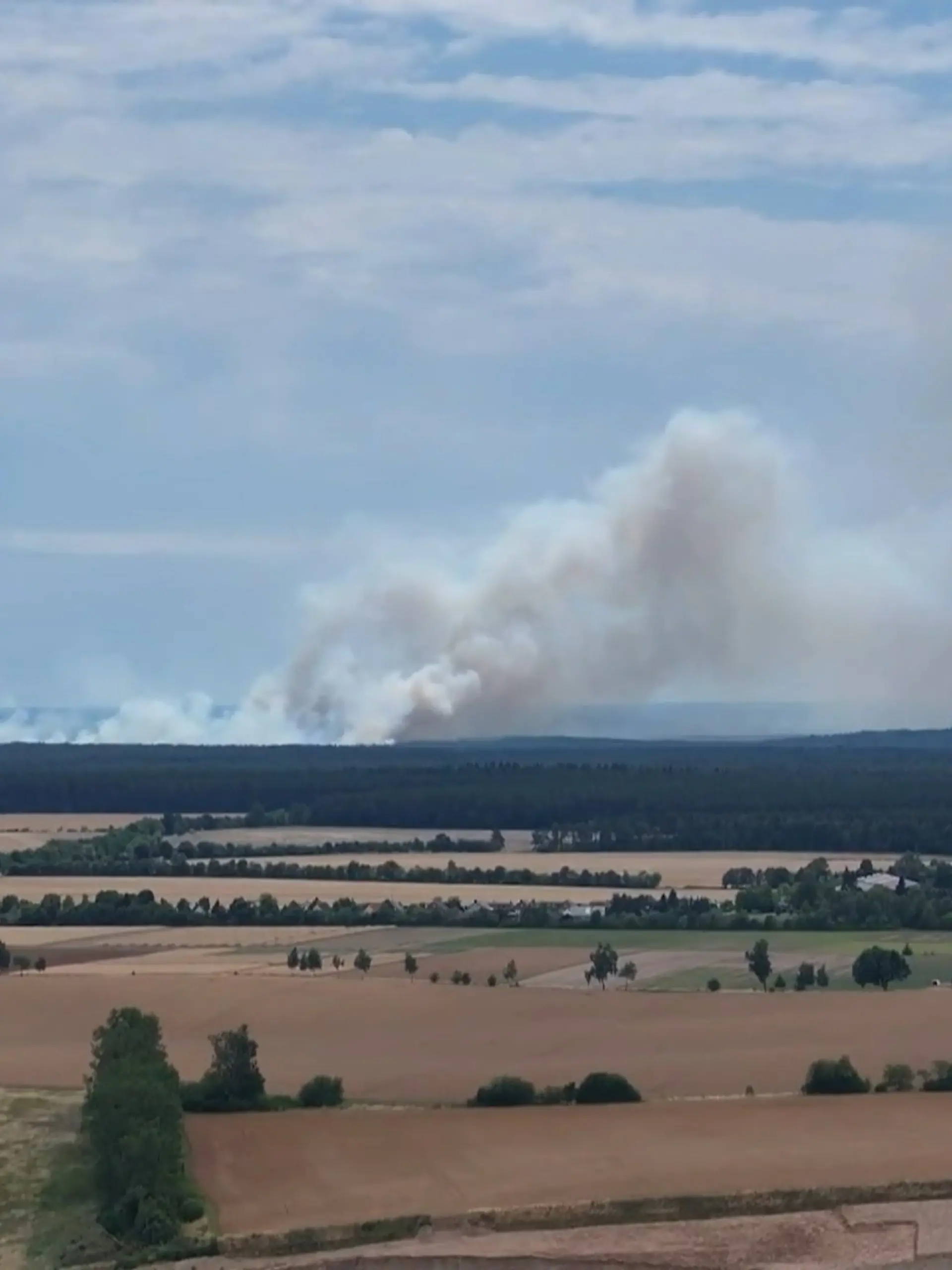 Bild zu: "Waldbrand in Müritz-Nationalpark – Munition erschwert Löscharbeiten zusätzlich"