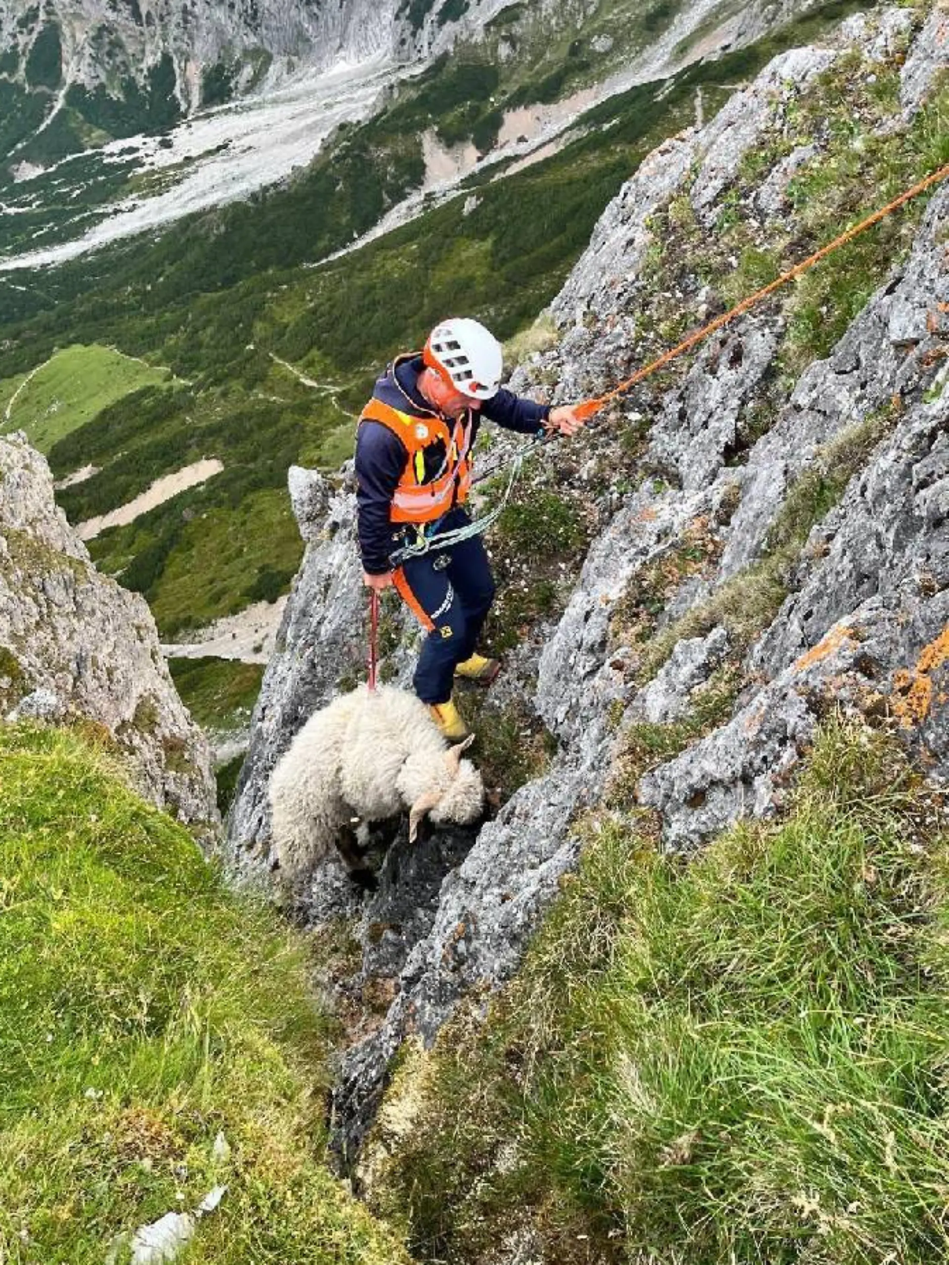 Ein Schaf wollte wohl den Gipfel der Taghaube im Hochkönigmassiv stürmen.