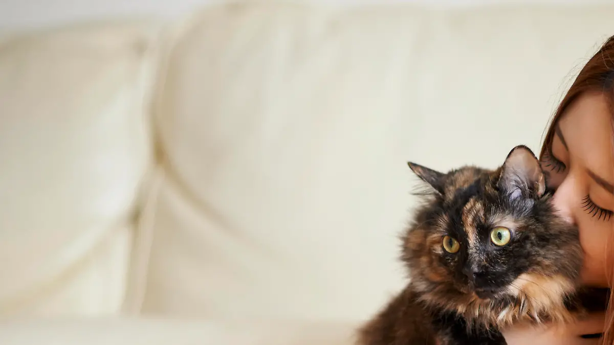 Shot of a young woman cuddling her cat at homehttp://195.154.178.81/DATA/i_collage/pu/shoots/805444.jpg