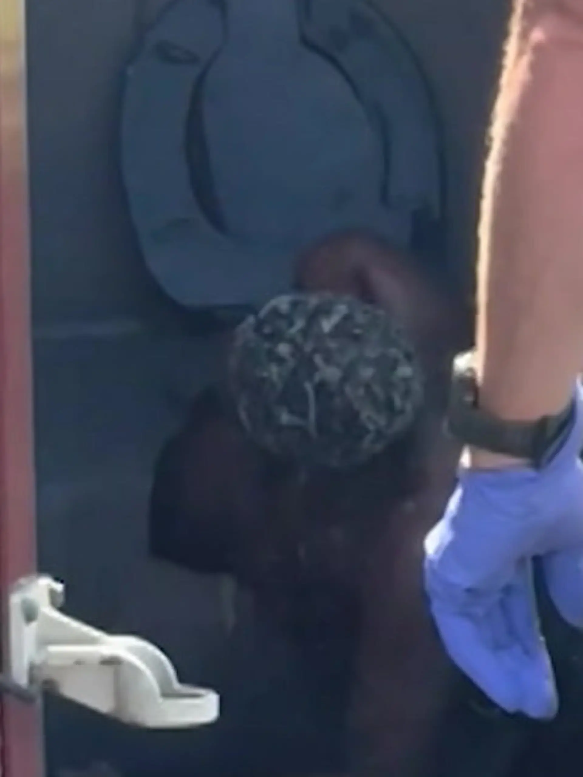 Bild zu: "Scheiße gelaufen! Mann steckt UNTER der Toilettenbrille von Dixie-Klo fest"