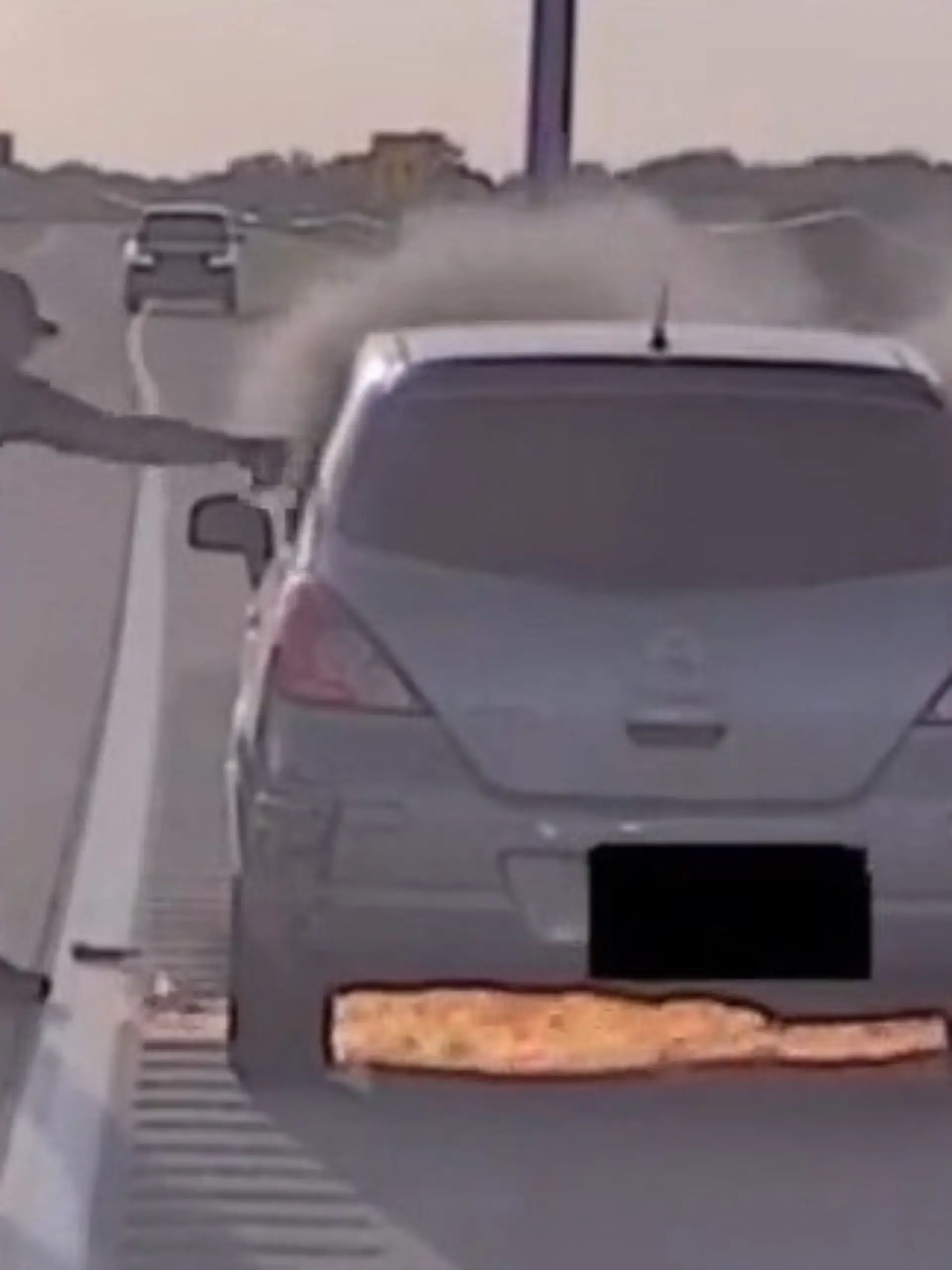 Bild zu: "Mitten auf der Autobahn! Fahrzeug fängt plötzlich Feuer – Polizist schreitet SO ein"