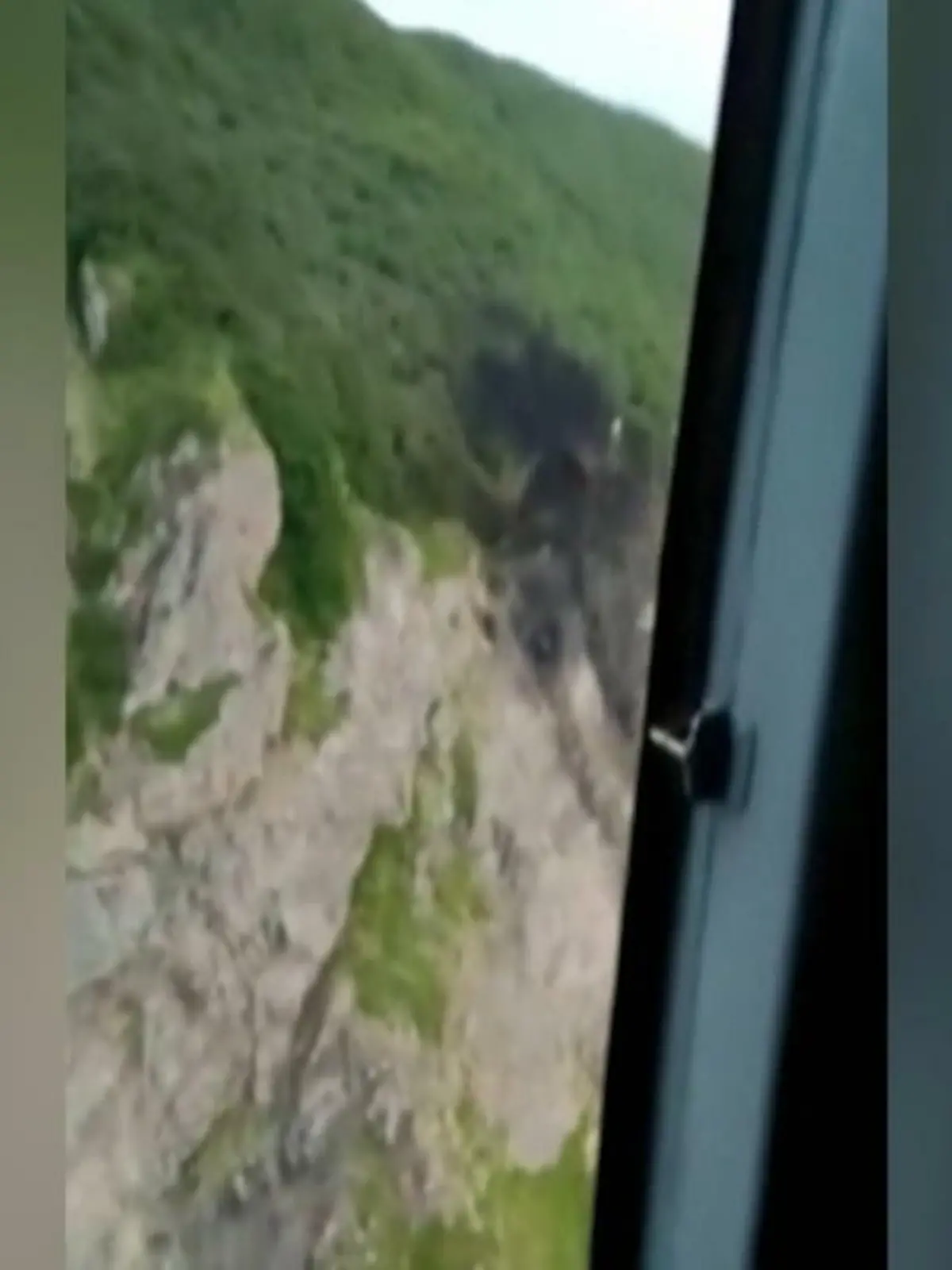 Bild zu: "Flugzeug in Russland abgestürzt"
