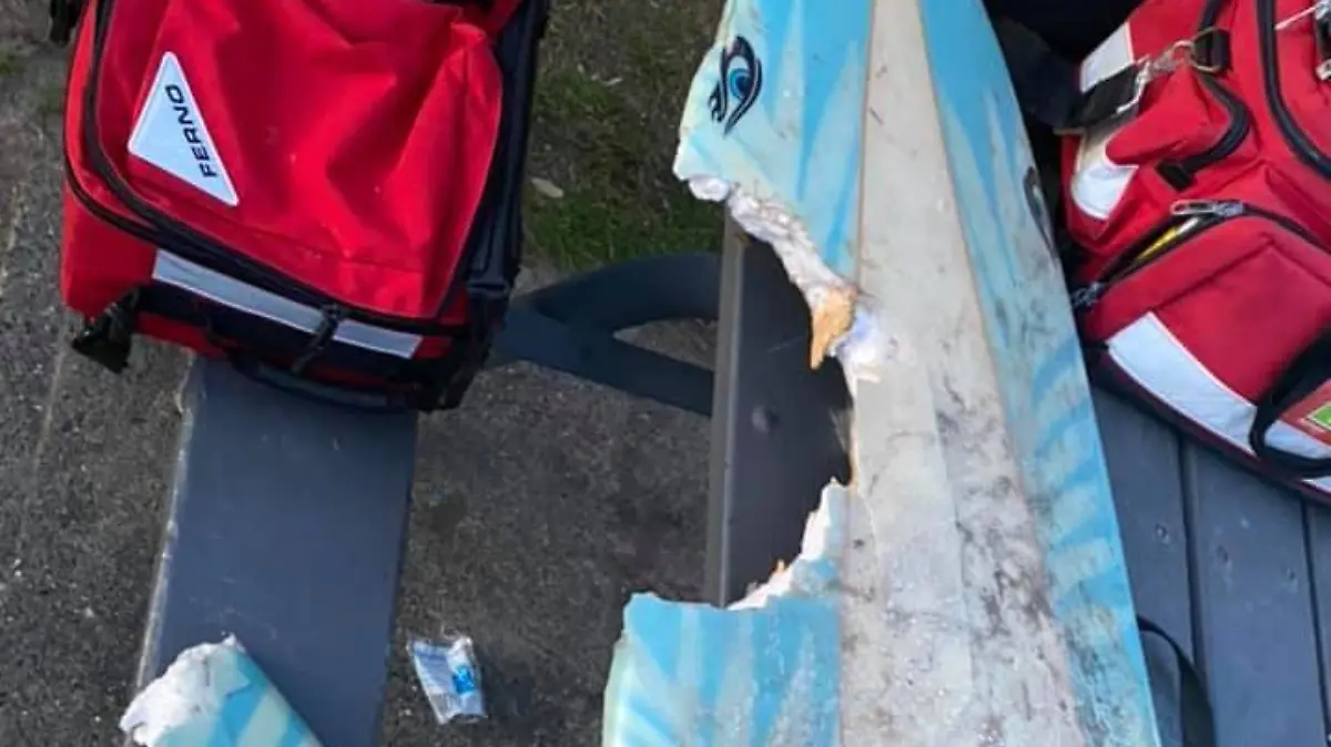 Haiangriff in Australien