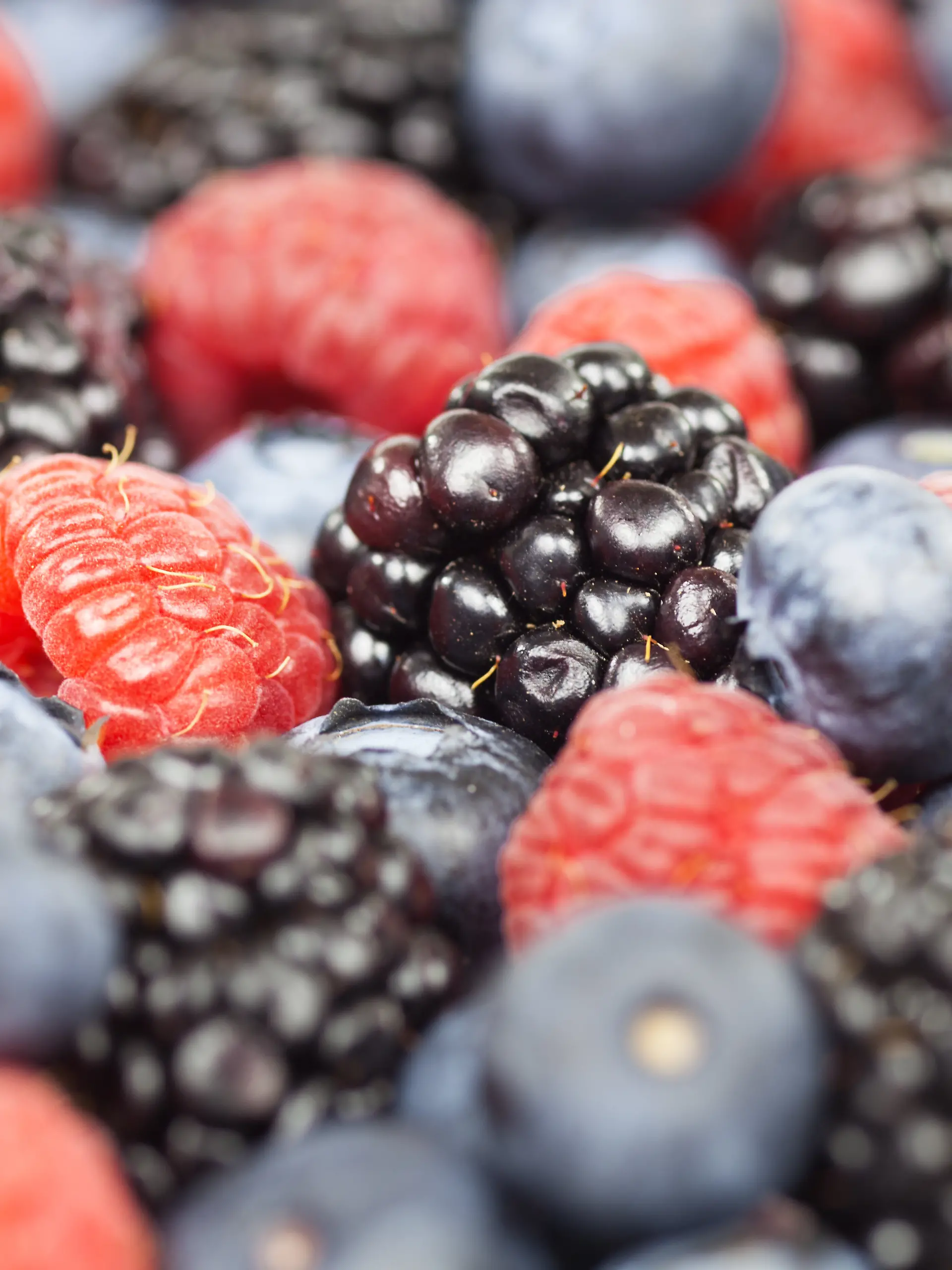 Bild zu: "Discounter ruft Tiefkühl-Bio-Beeren zurück"