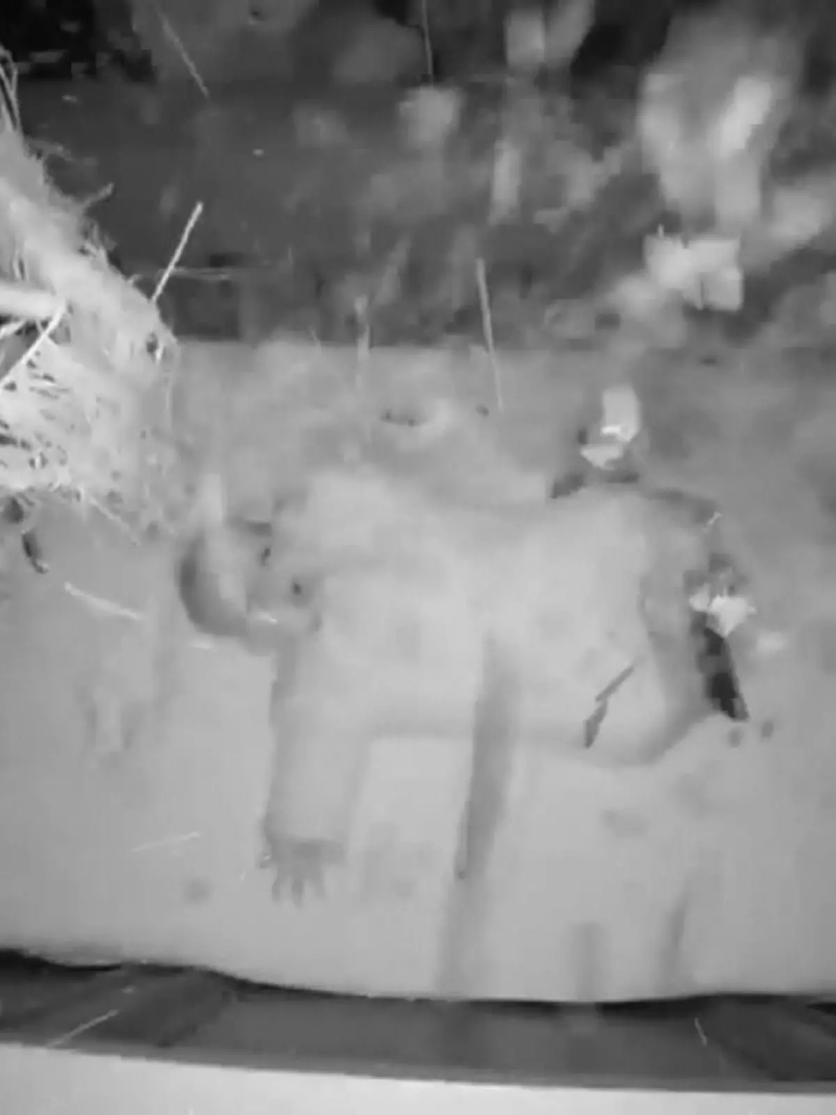 Louisiana fünf Monate altes Baby überlebt Baumeinsturz auf Haus (CNN)