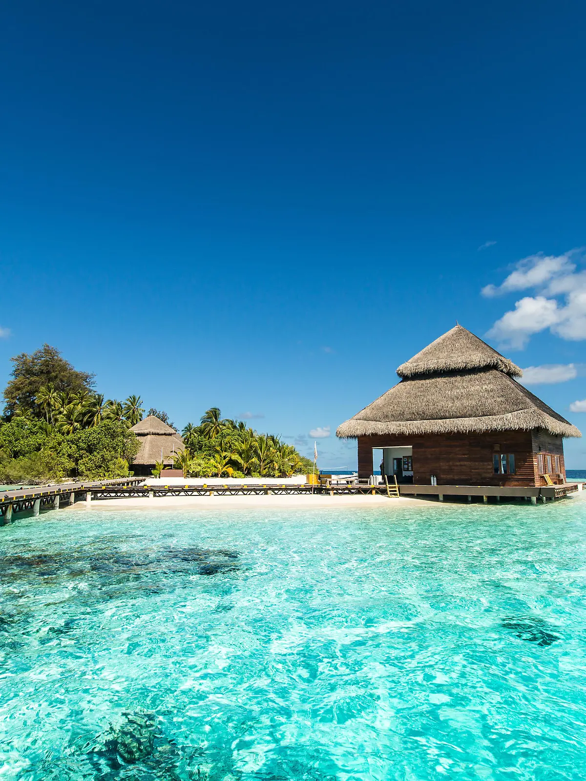 small tropical island with beach villas