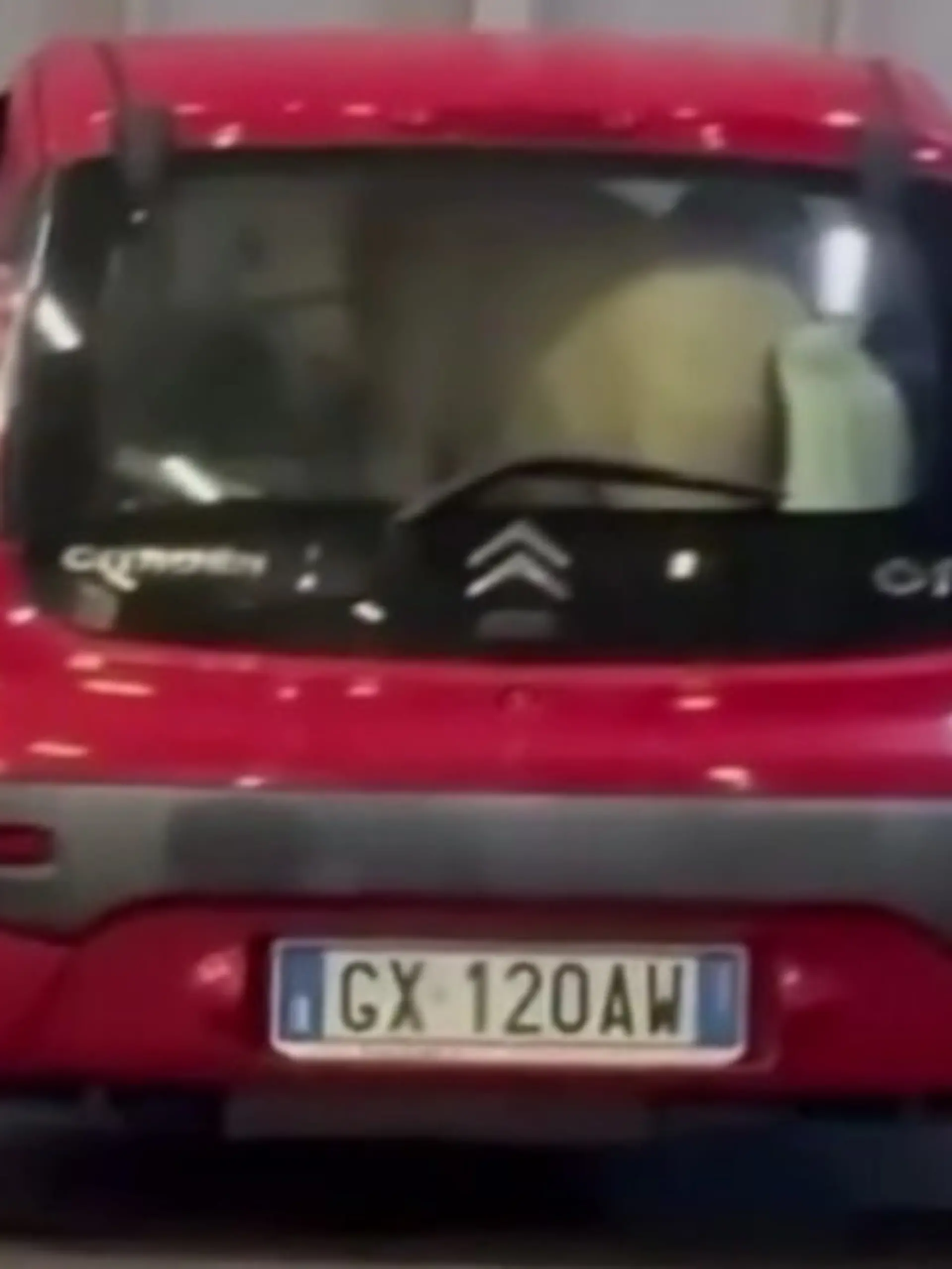 Pony in Kleinwagen auf Fähre verladen